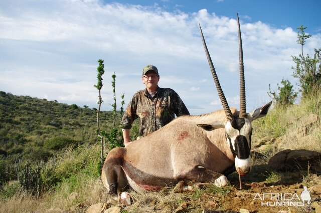 Gemsbok Hunting South Africa