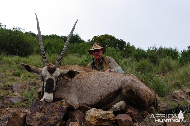 Gemsbok Hunting South Africa