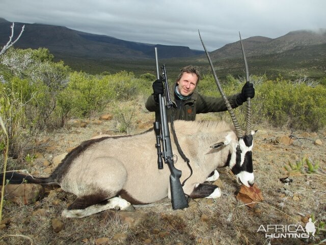 Gemsbok Hunting South Africa