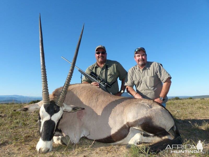 Gemsbok Hunting South Africa