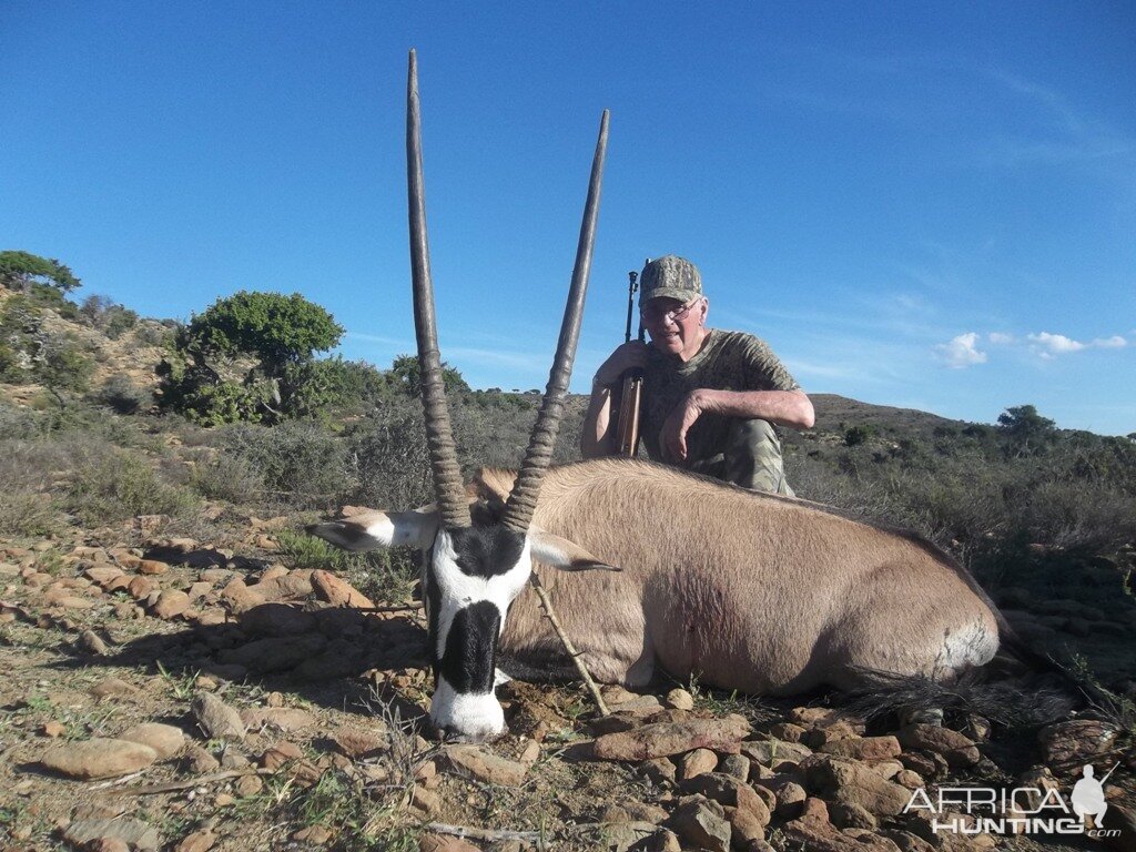 Gemsbok Hunting South Africa