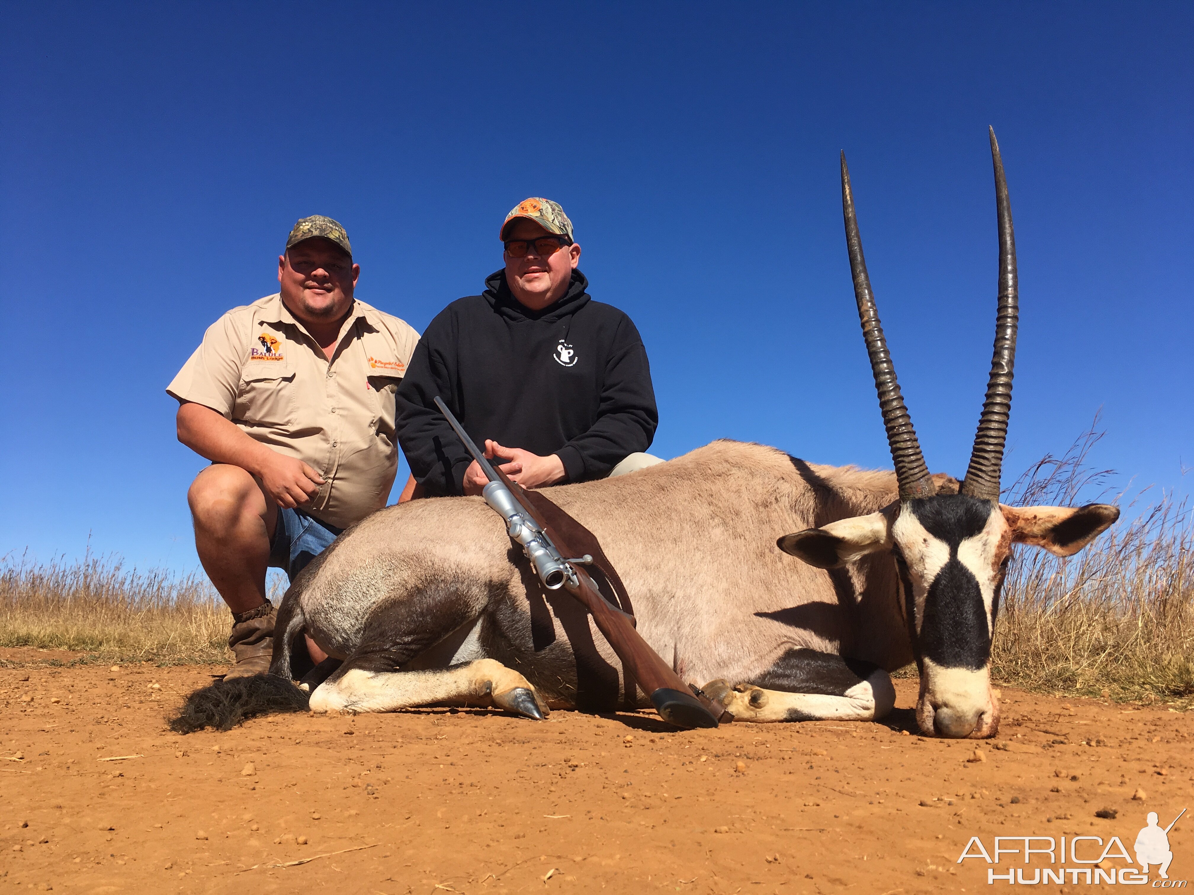 Gemsbok Hunting South Africa