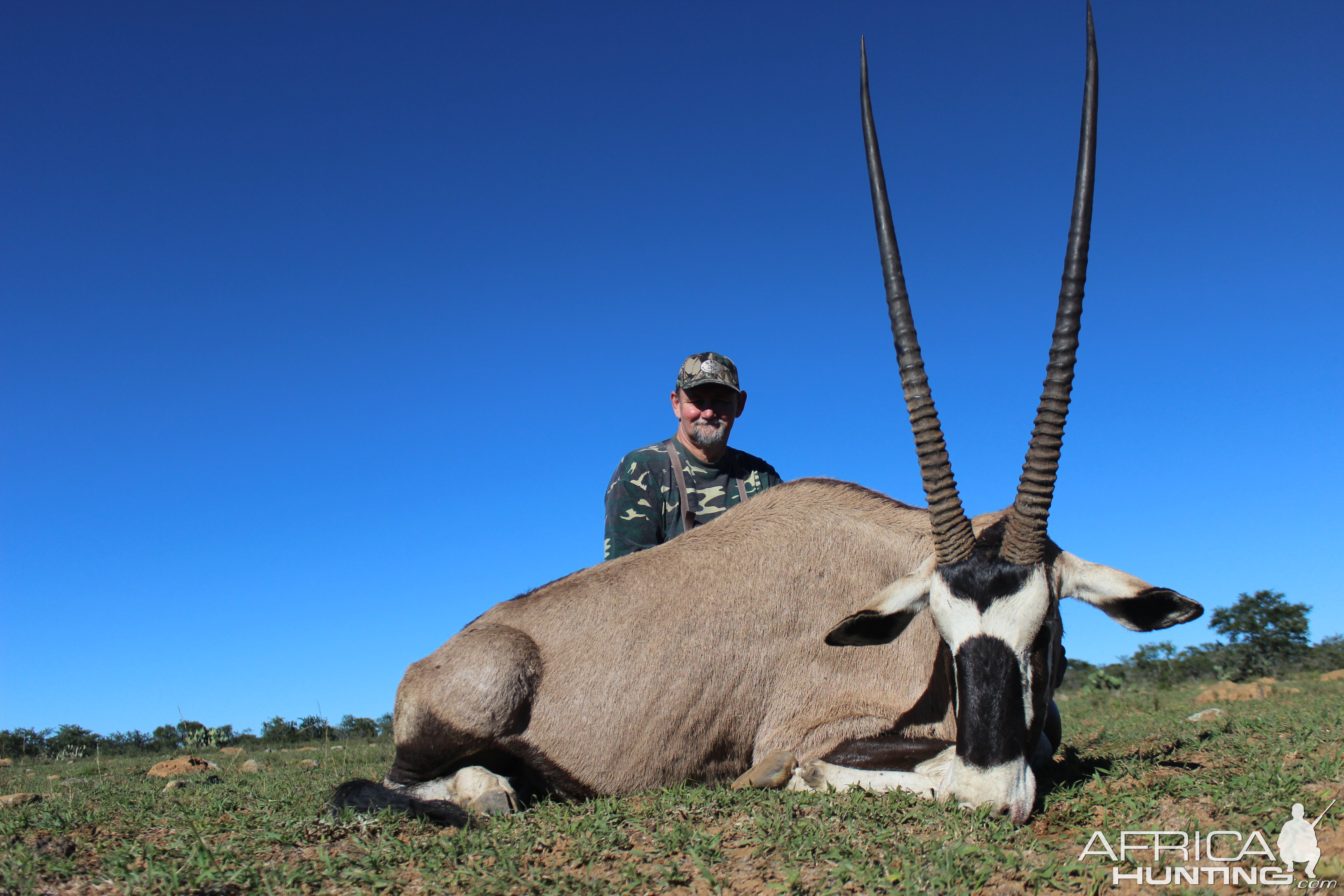 Gemsbok Hunting South Africa