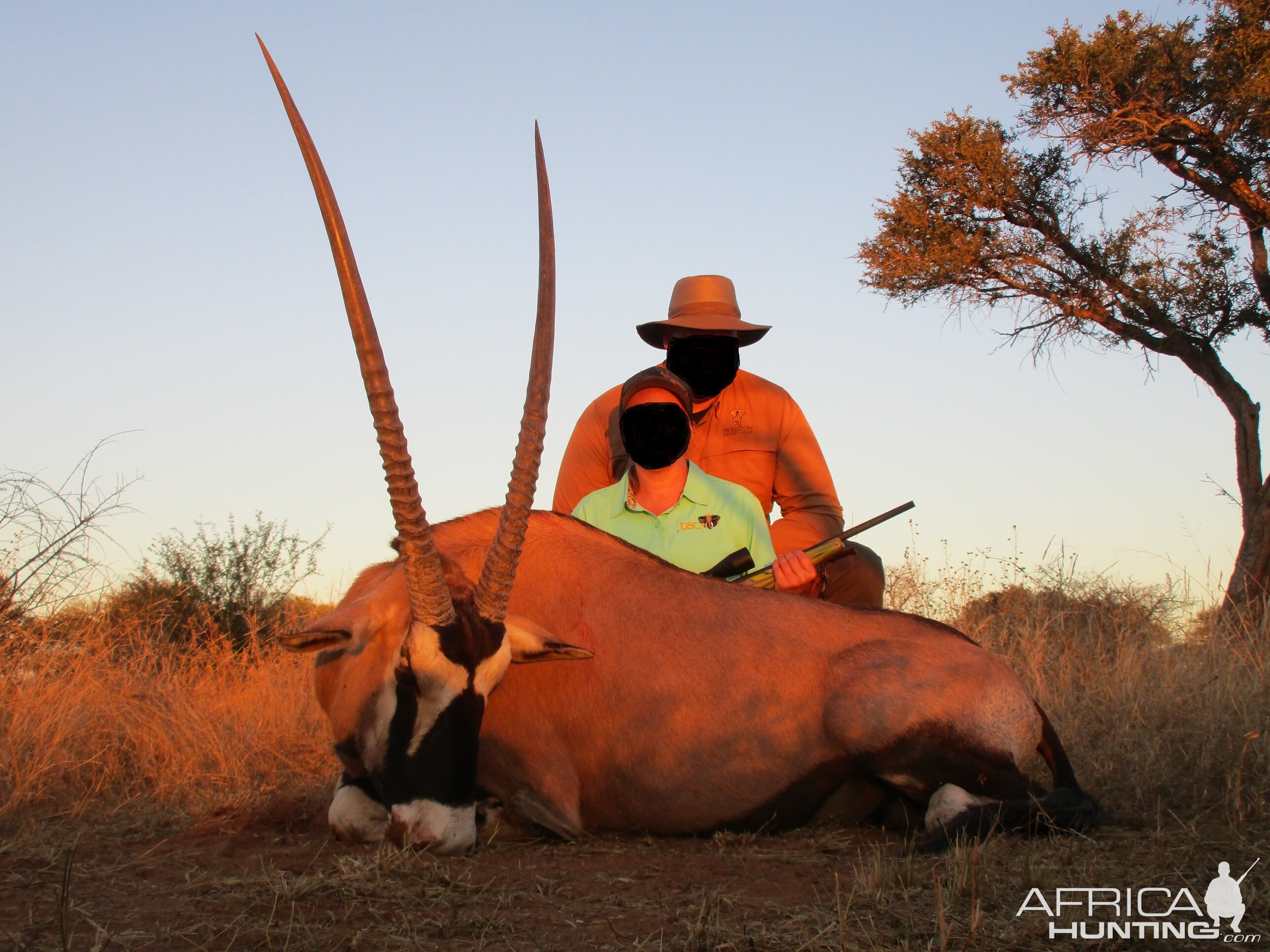 Gemsbok Hunting South Africa