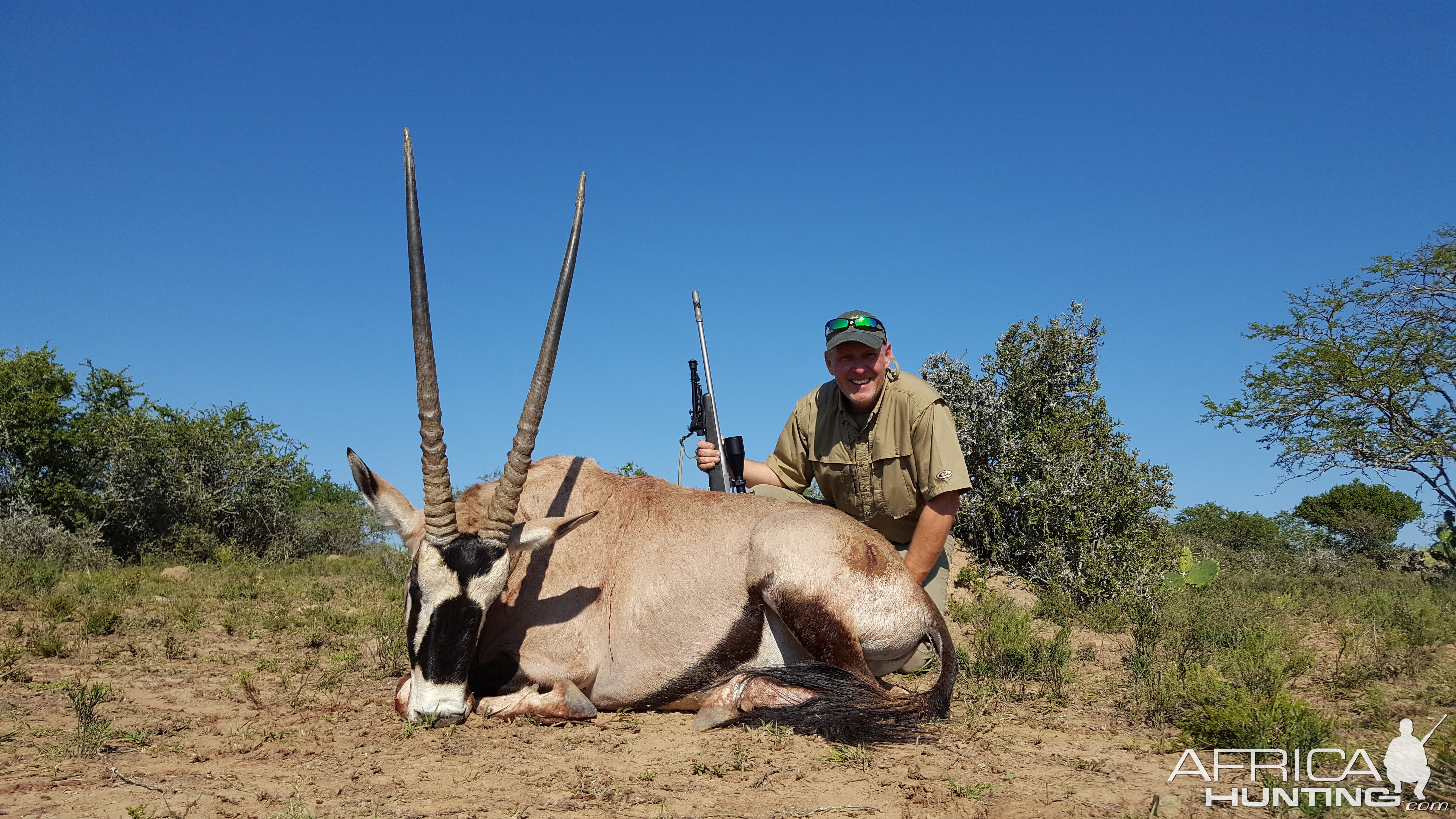 Gemsbok Hunting South Africa