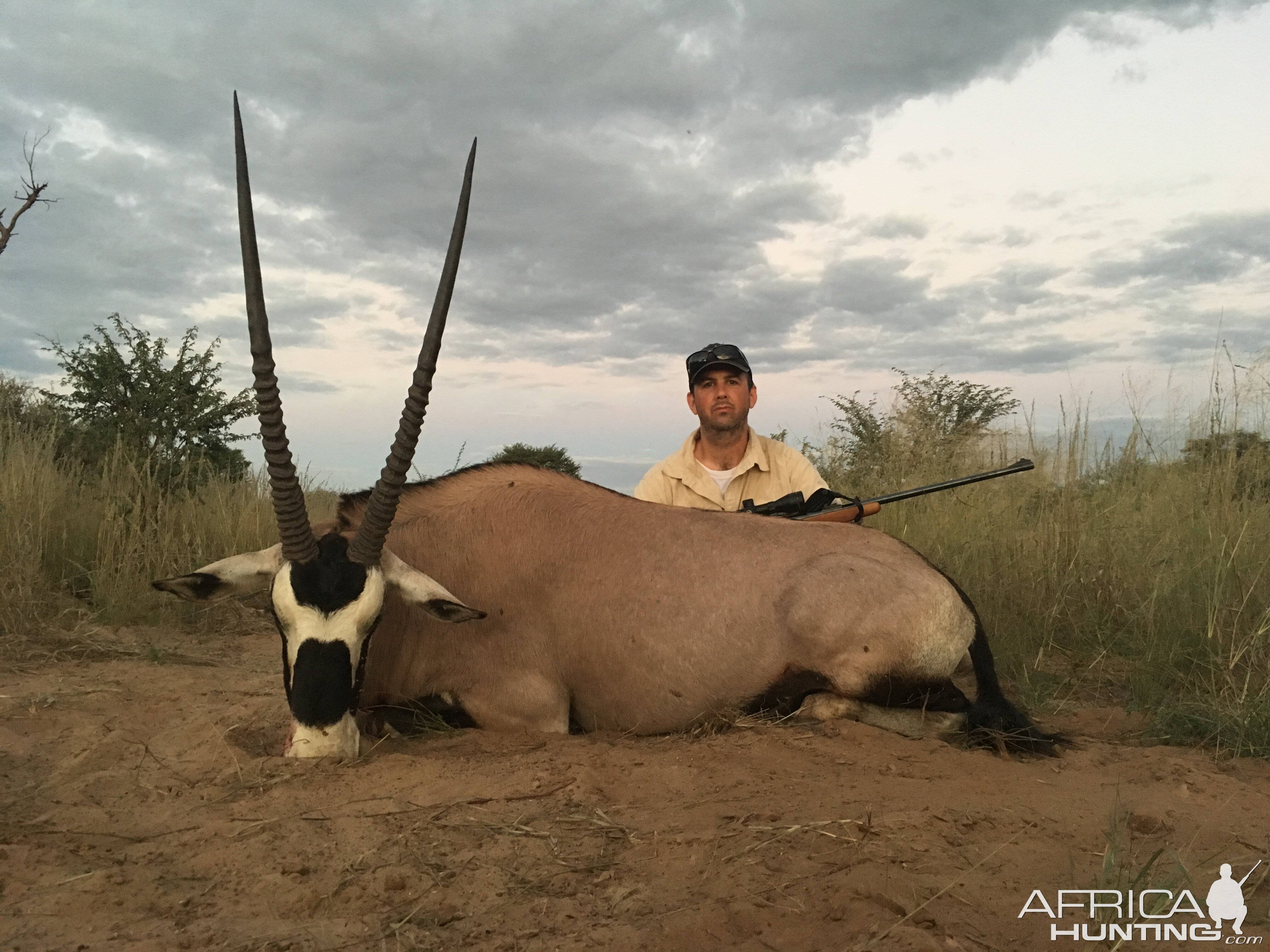 Gemsbok Hunting South Africa