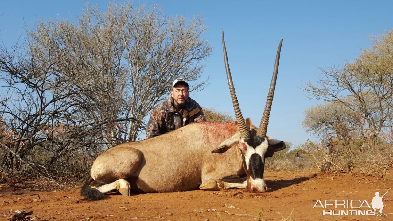 Gemsbok Hunting South Africa