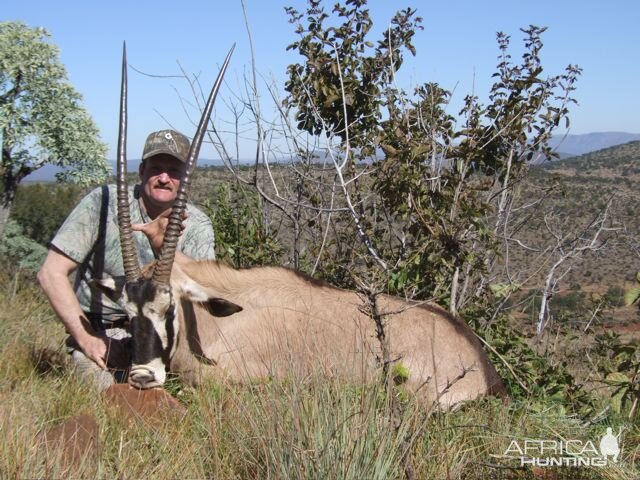 Gemsbok Hunting South Africa