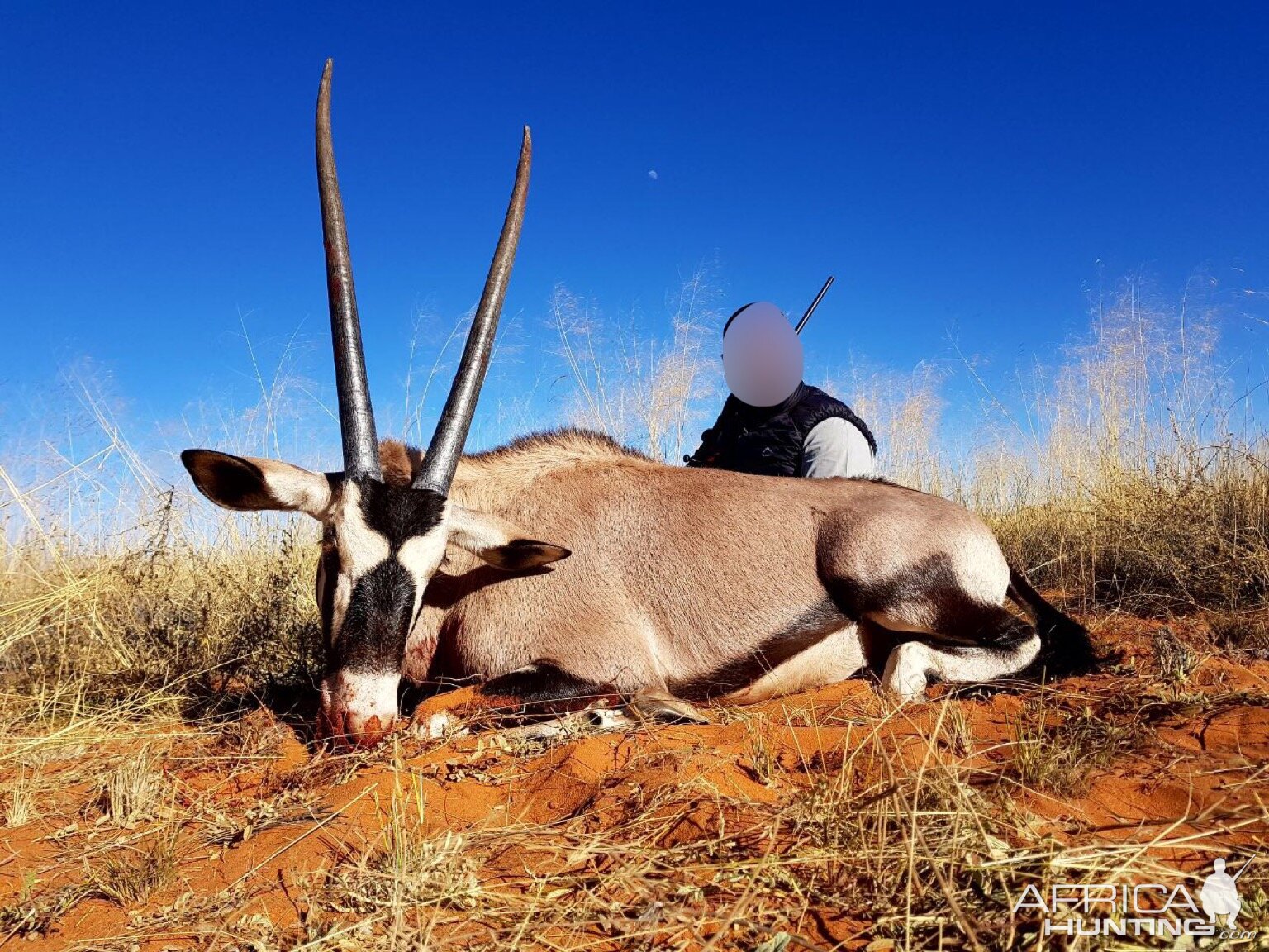 Gemsbok Hunting South Africa