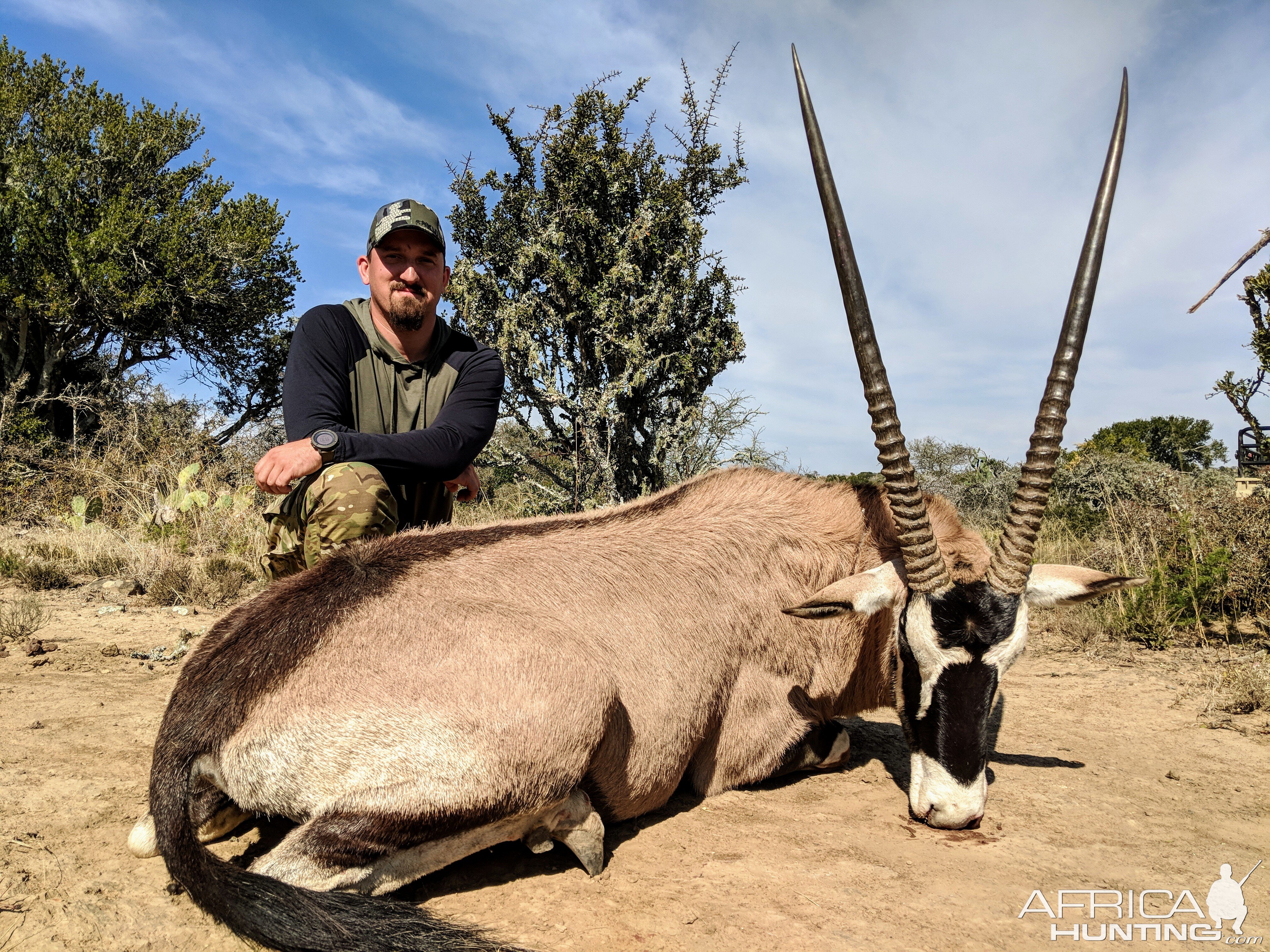 Gemsbok Hunting South Africa