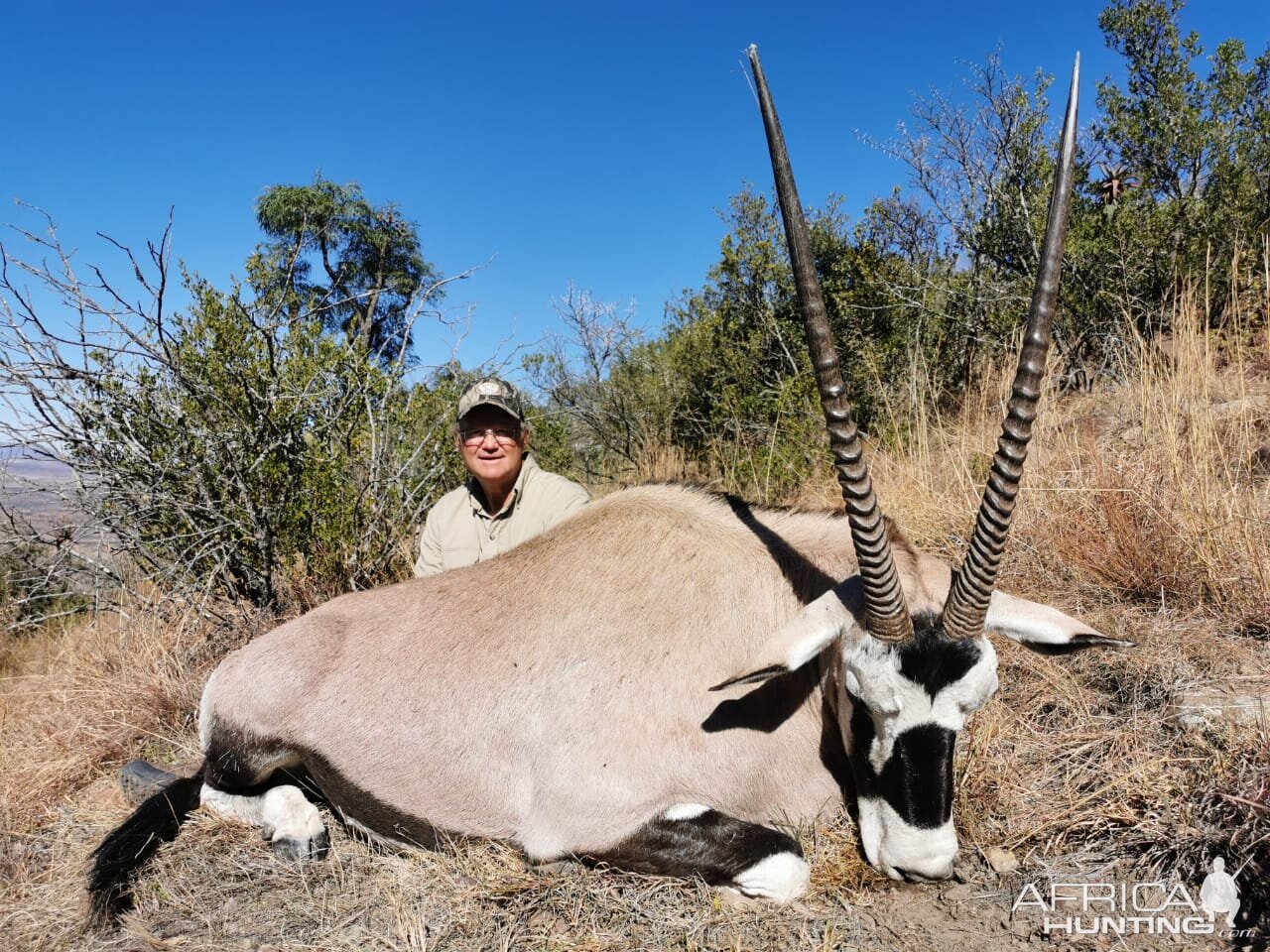 Gemsbok Hunting South Africa