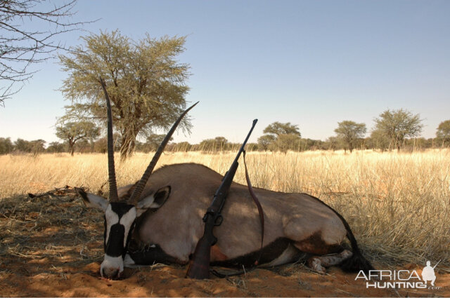 Gemsbok Hunting South Africa