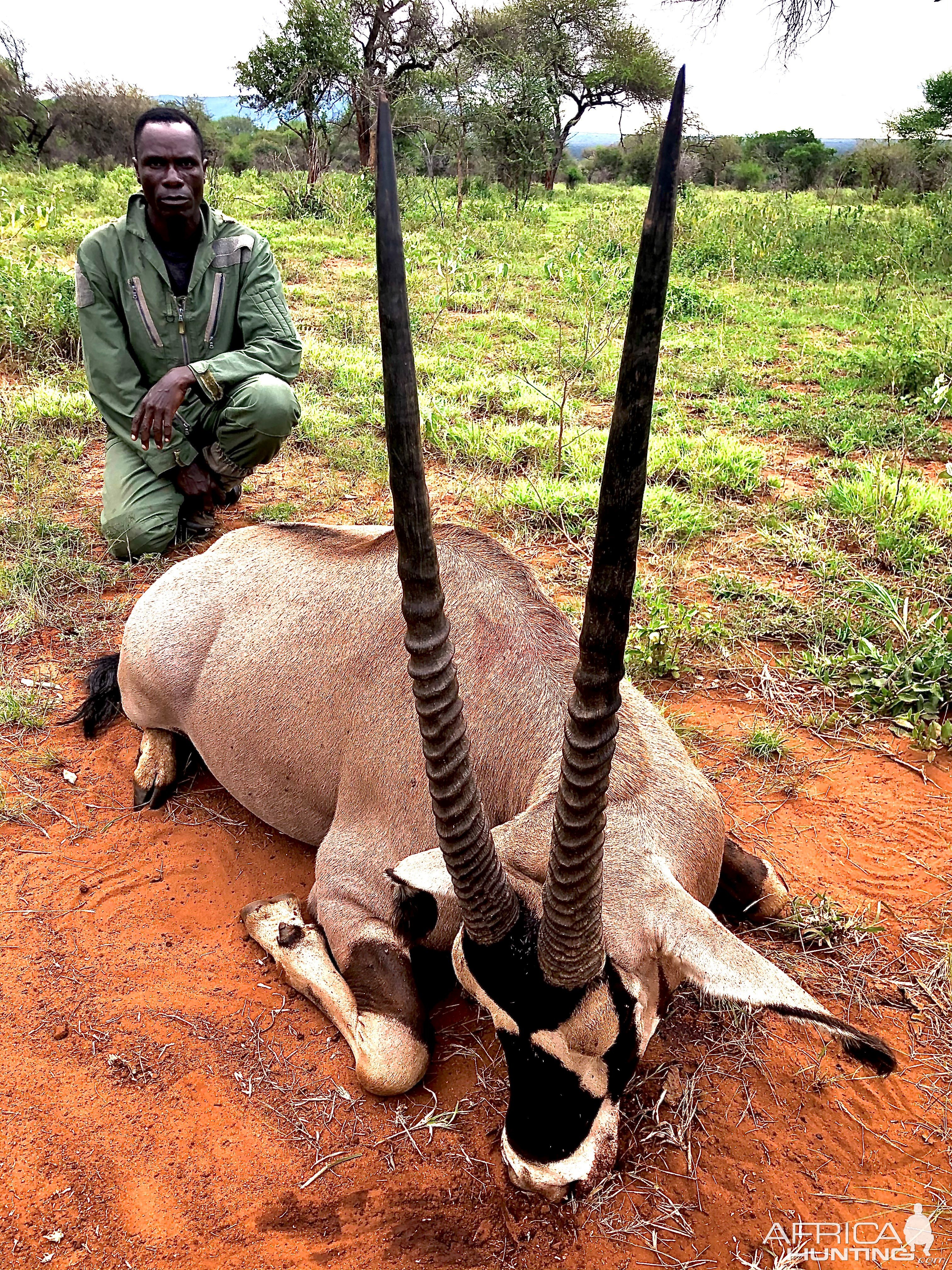 Gemsbok Hunting Tanzania