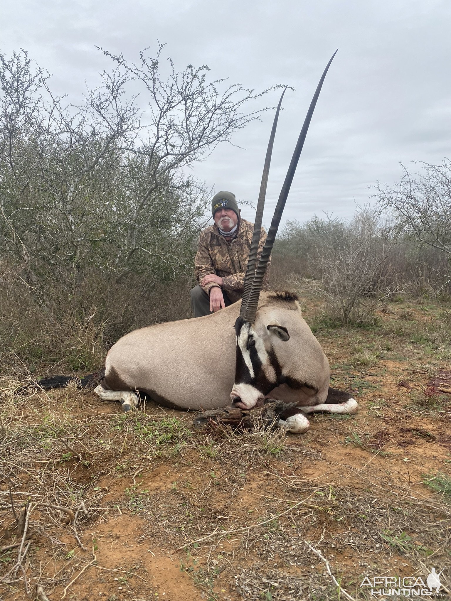 Gemsbok Hunting