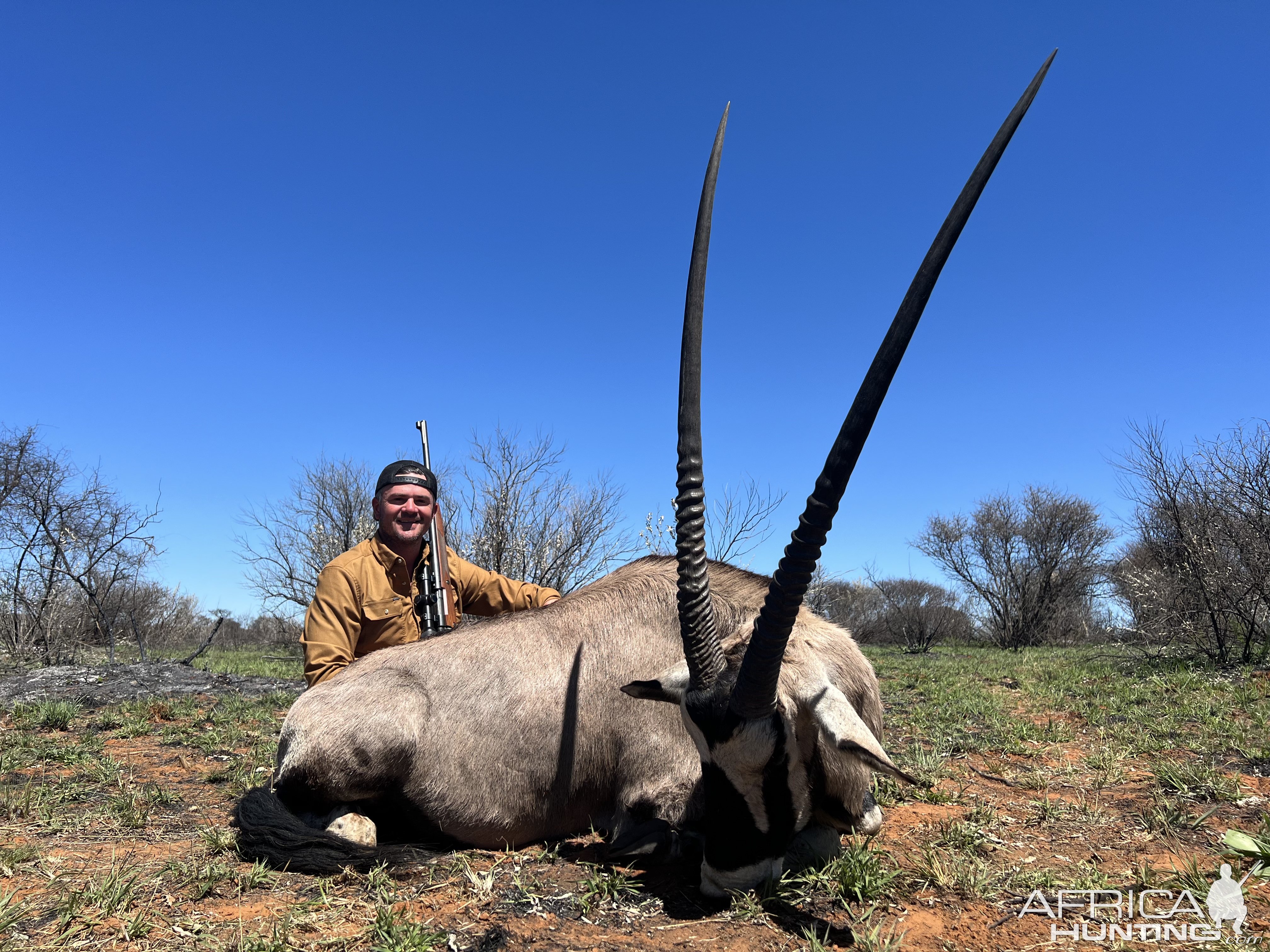 Gemsbok Hunting