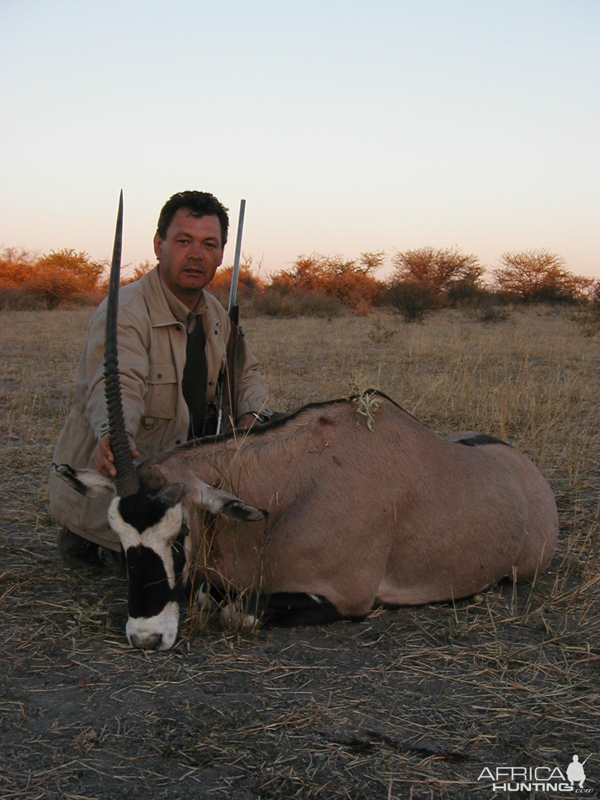 Gemsbok Hunting