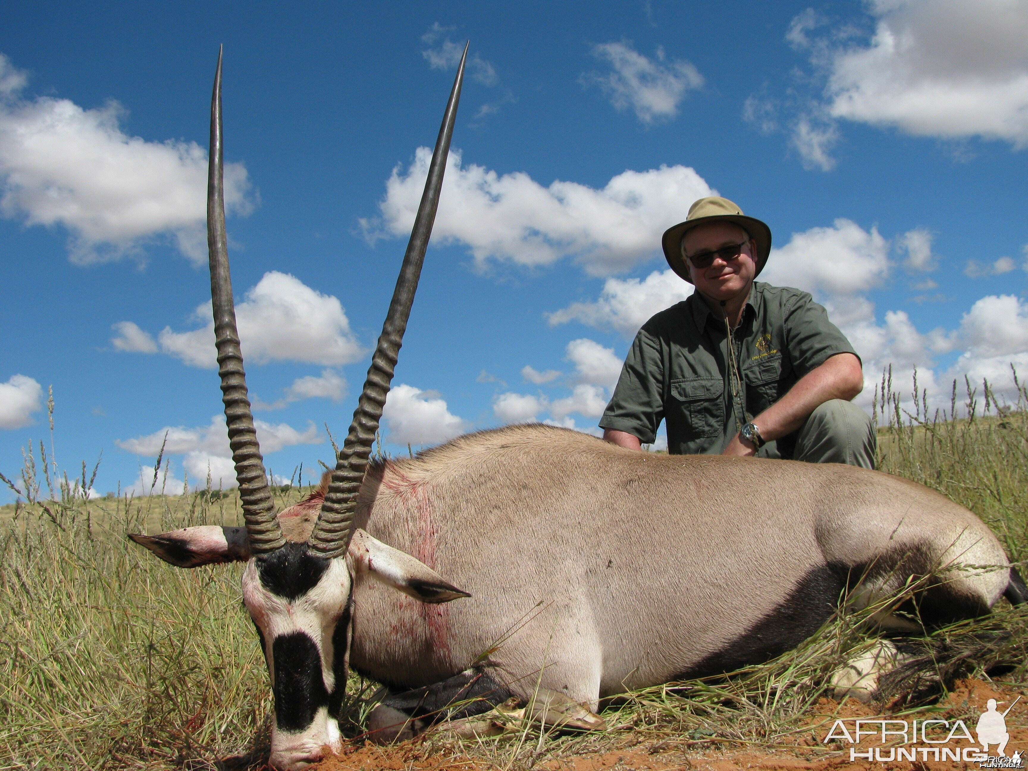 Gemsbok in Namibia