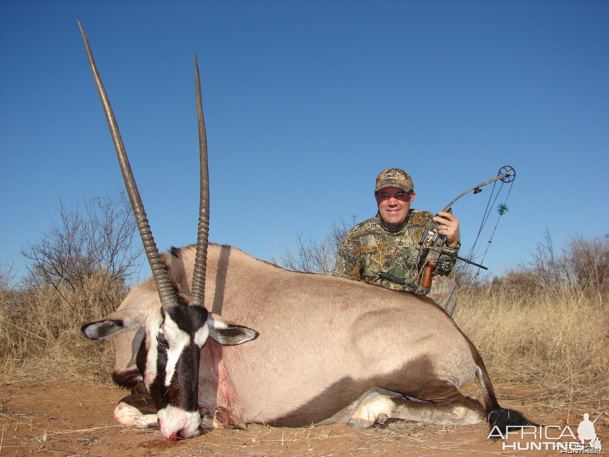 Gemsbok Limcroma Safaris