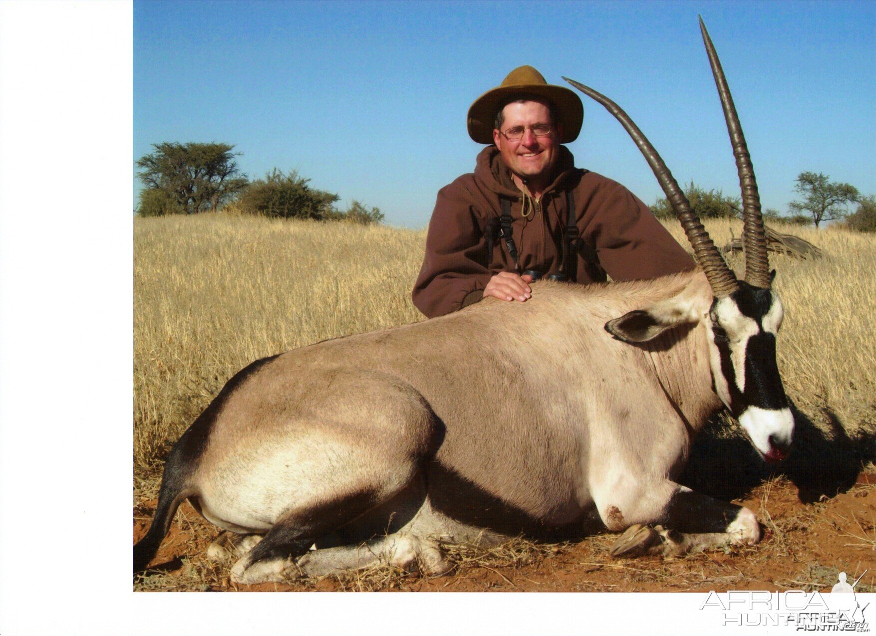 Gemsbok Namibia