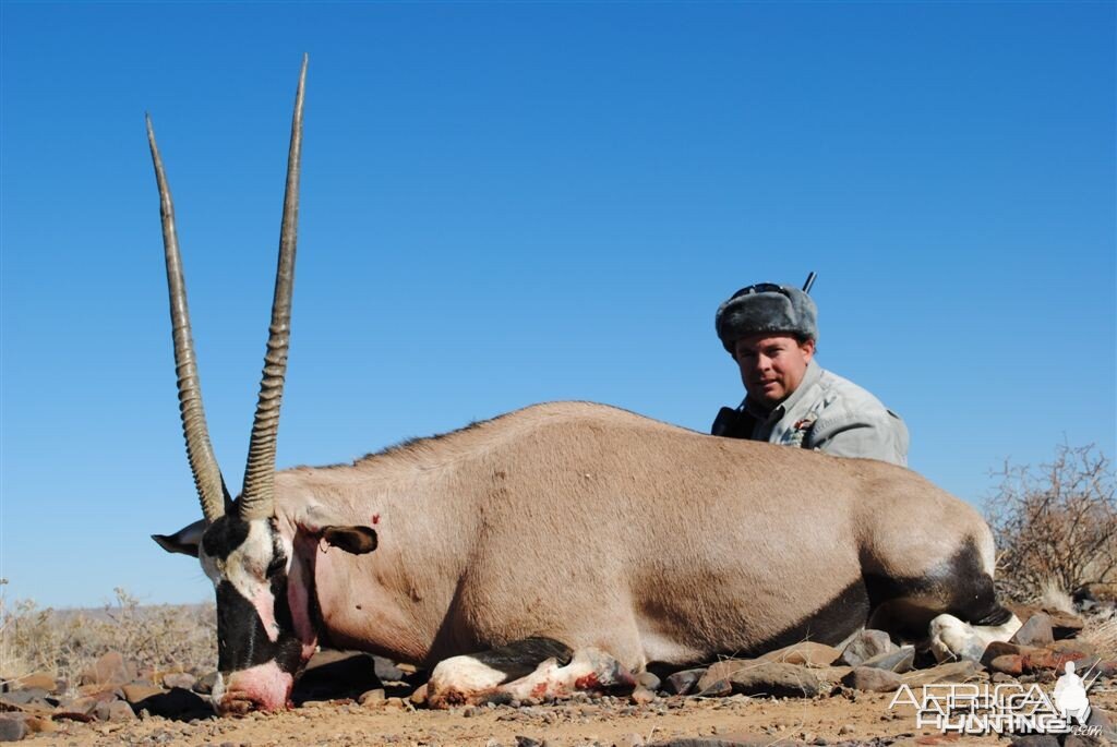 Gemsbok Namibia