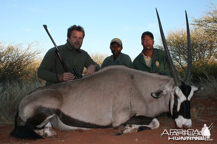 Gemsbok Namibia