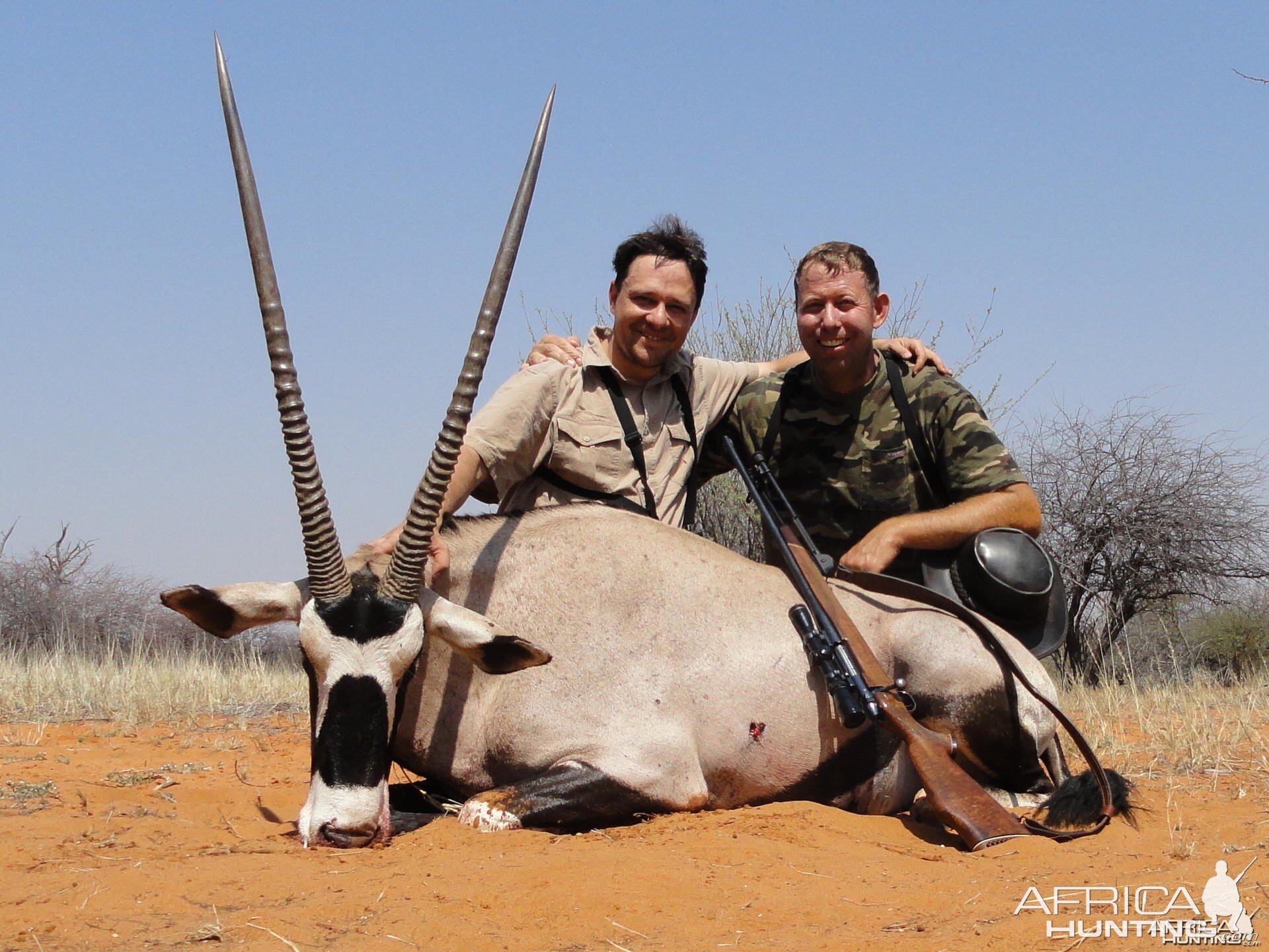 Gemsbok Namibia