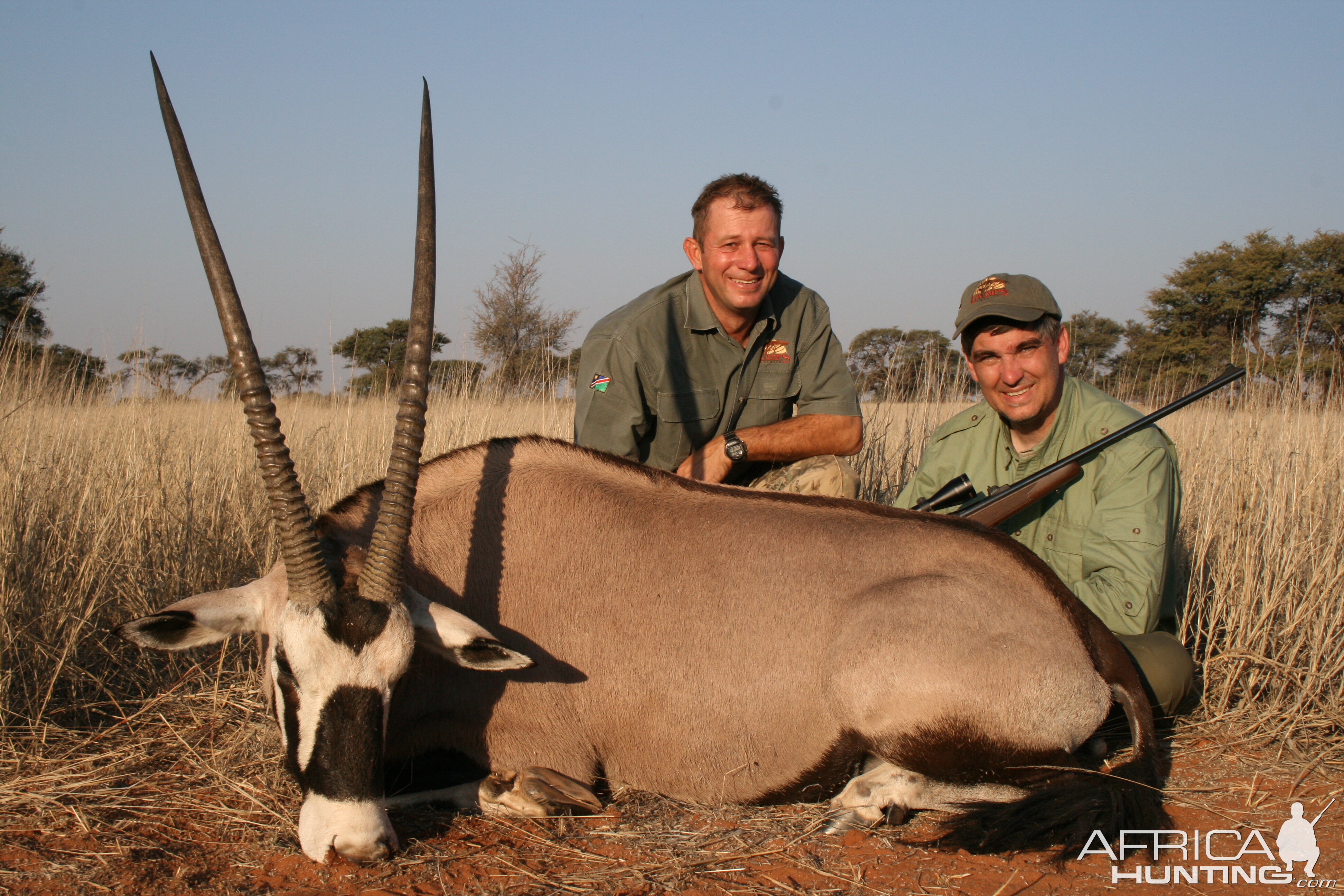 Gemsbok, Namibia