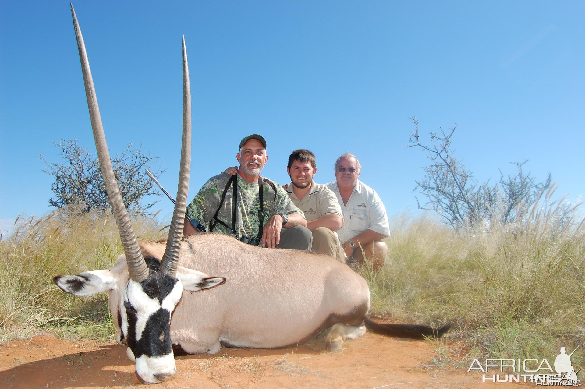 Gemsbok Namibia