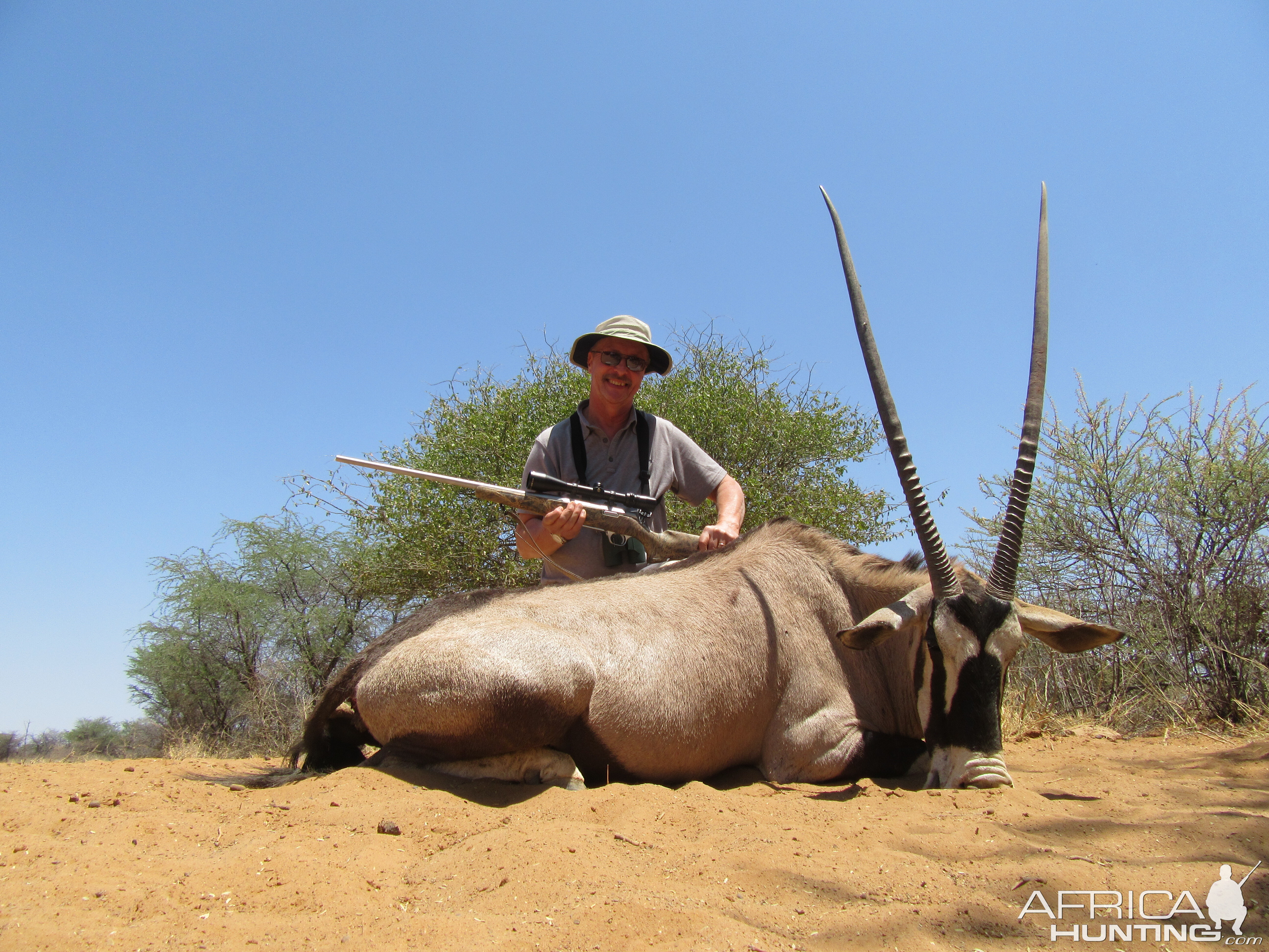 Gemsbok Namibia