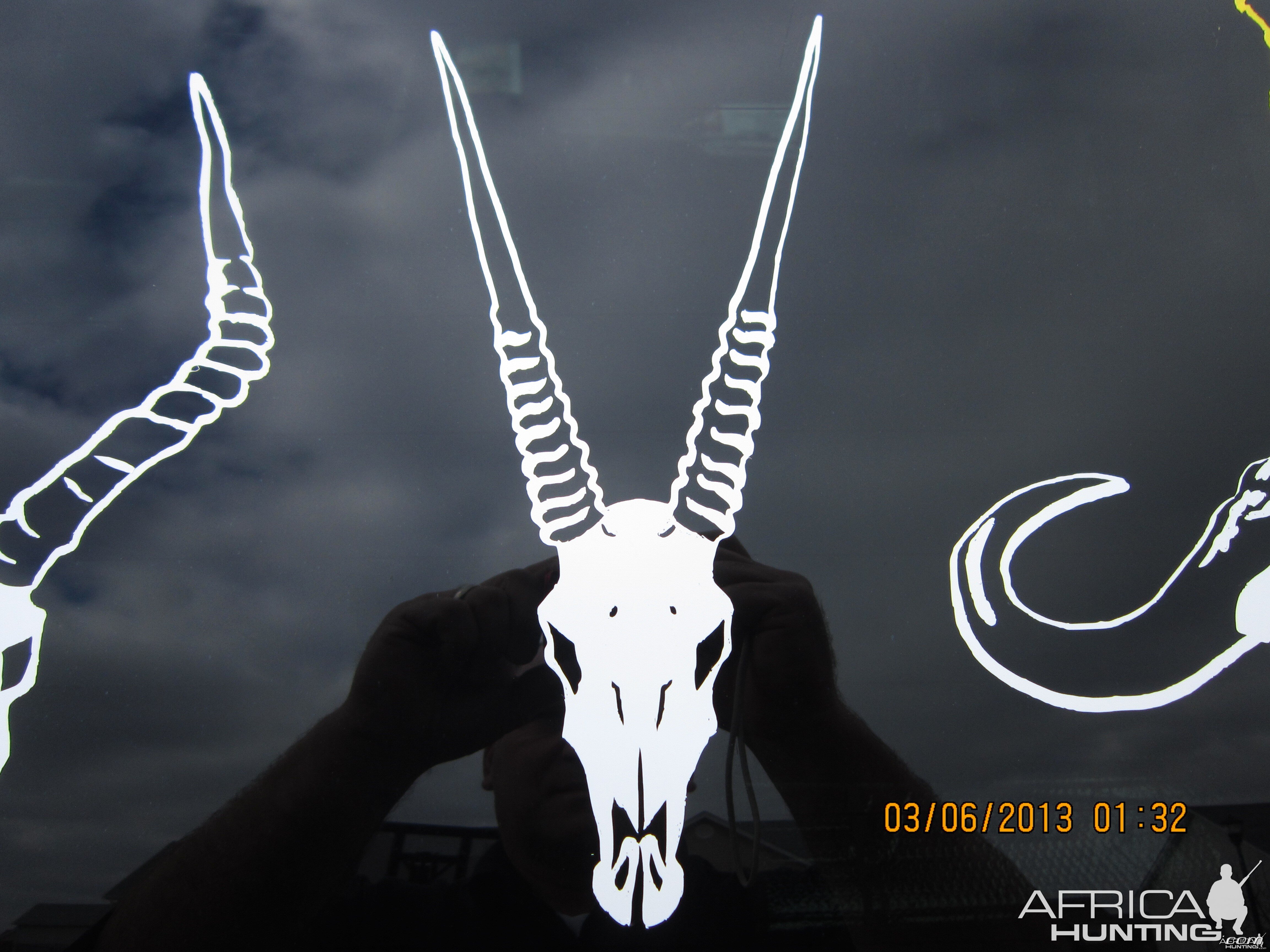 Gemsbok/Oryx Decal Stickers