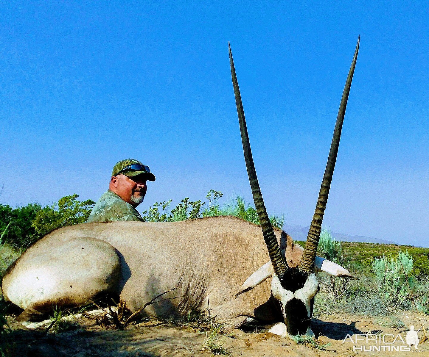 Gemsbok (Oryx) Hunt