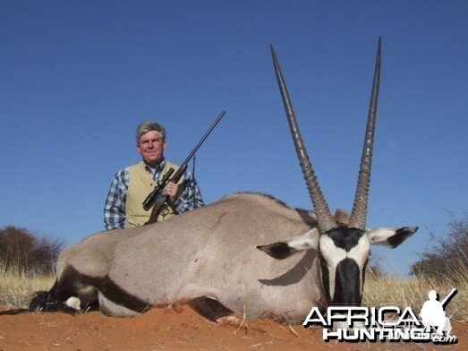 Gemsbok / Oryx