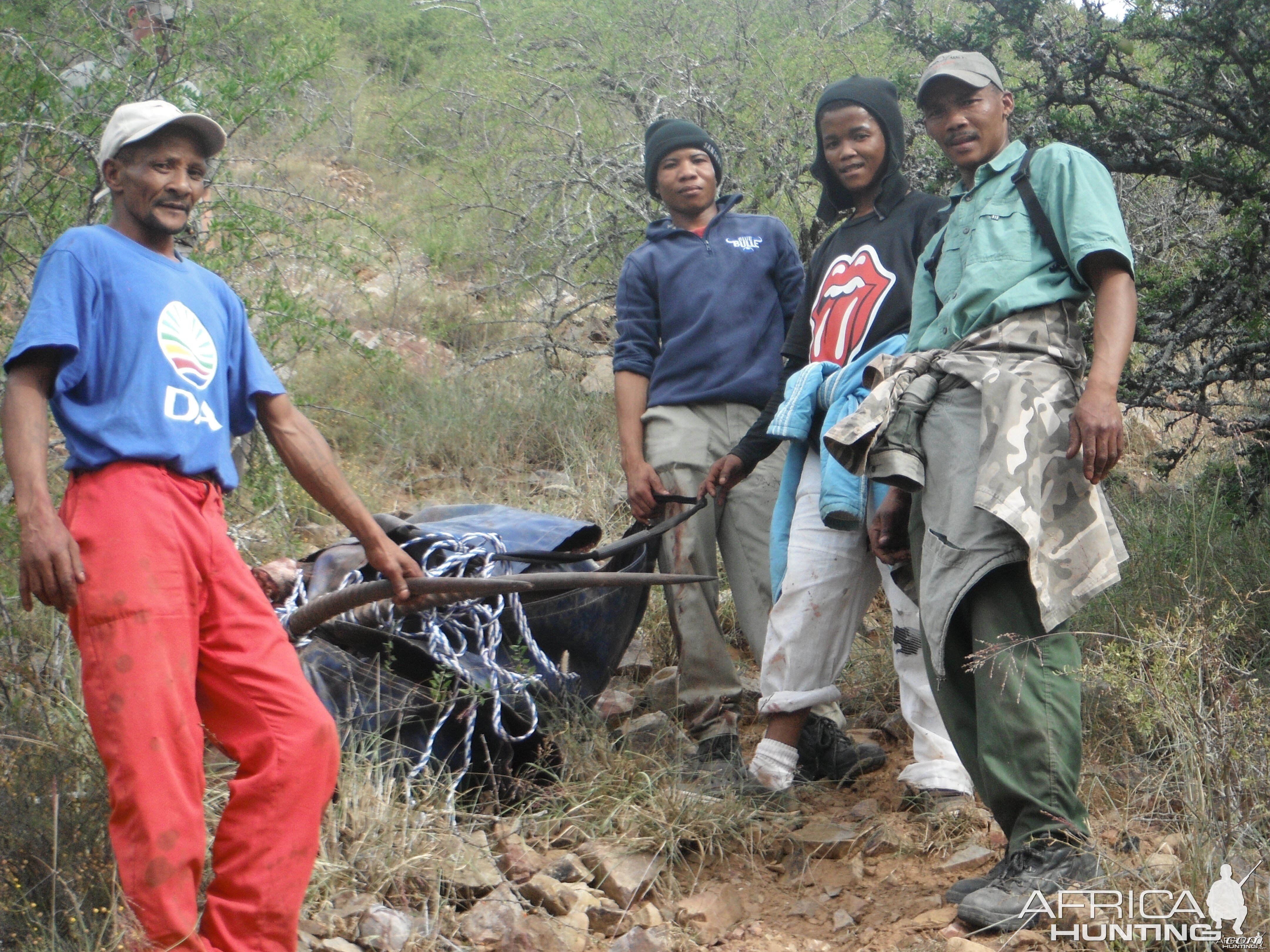 Gemsbok recovery