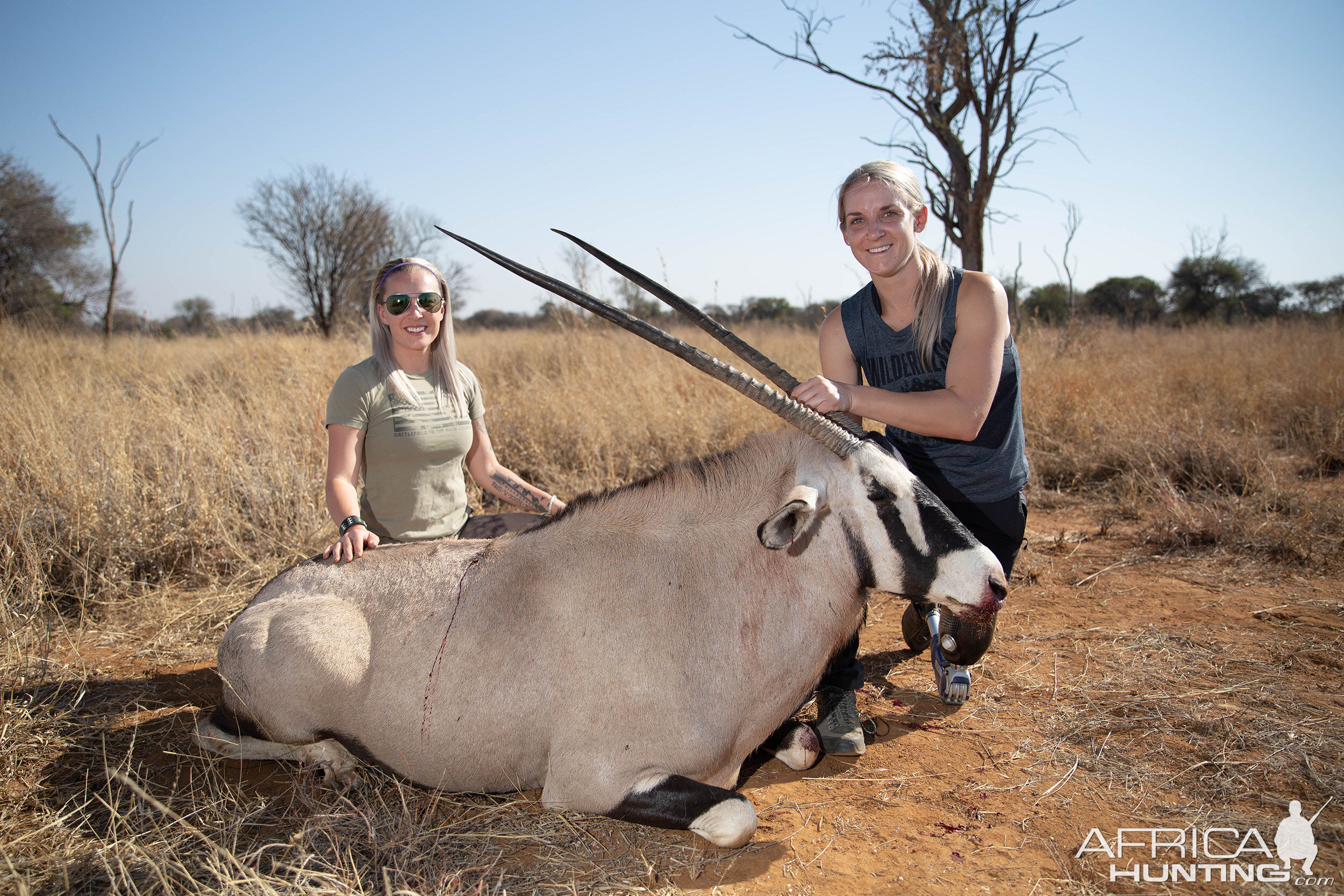 Gemsbok South Africa