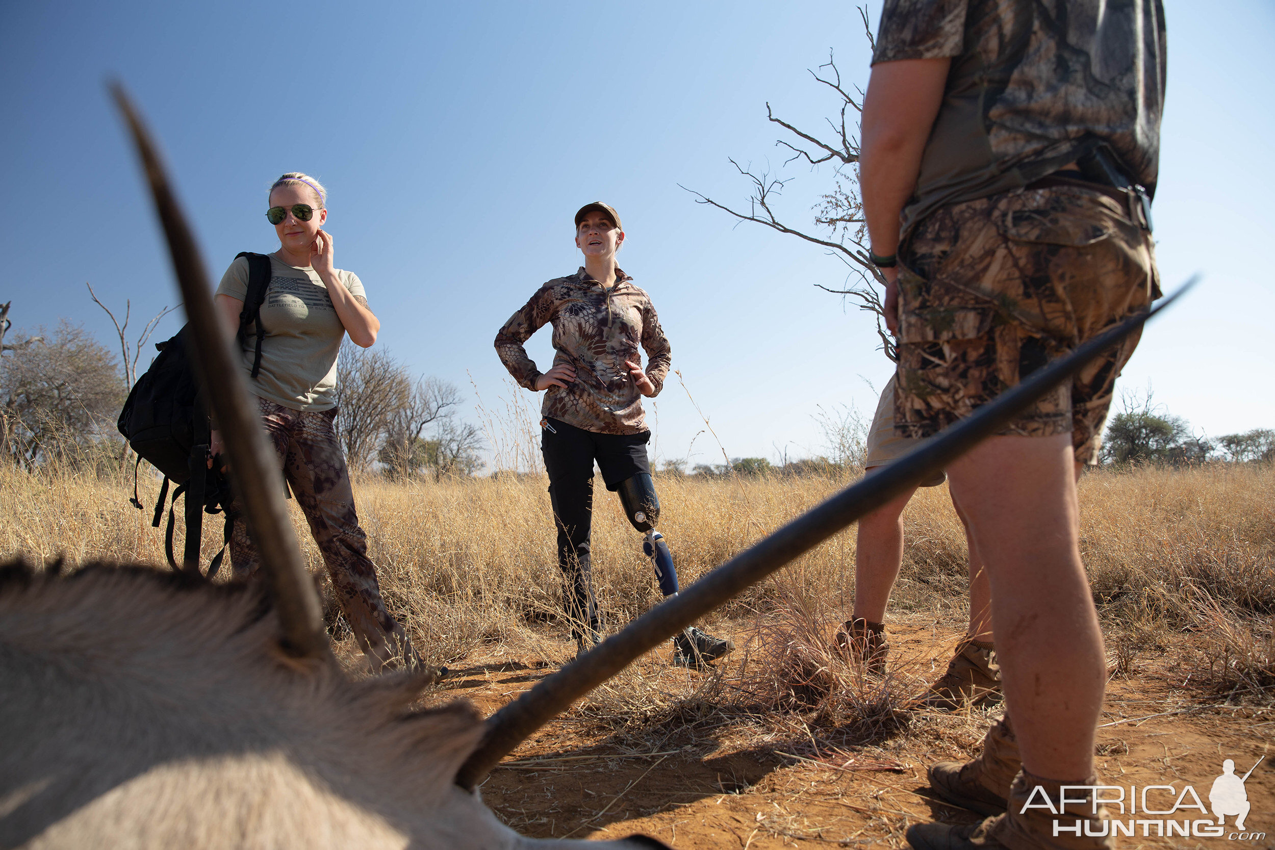 Gemsbok South Africa