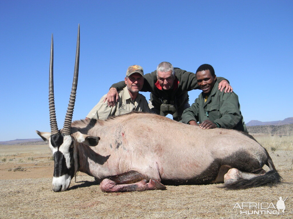 Gemsbok South Africa