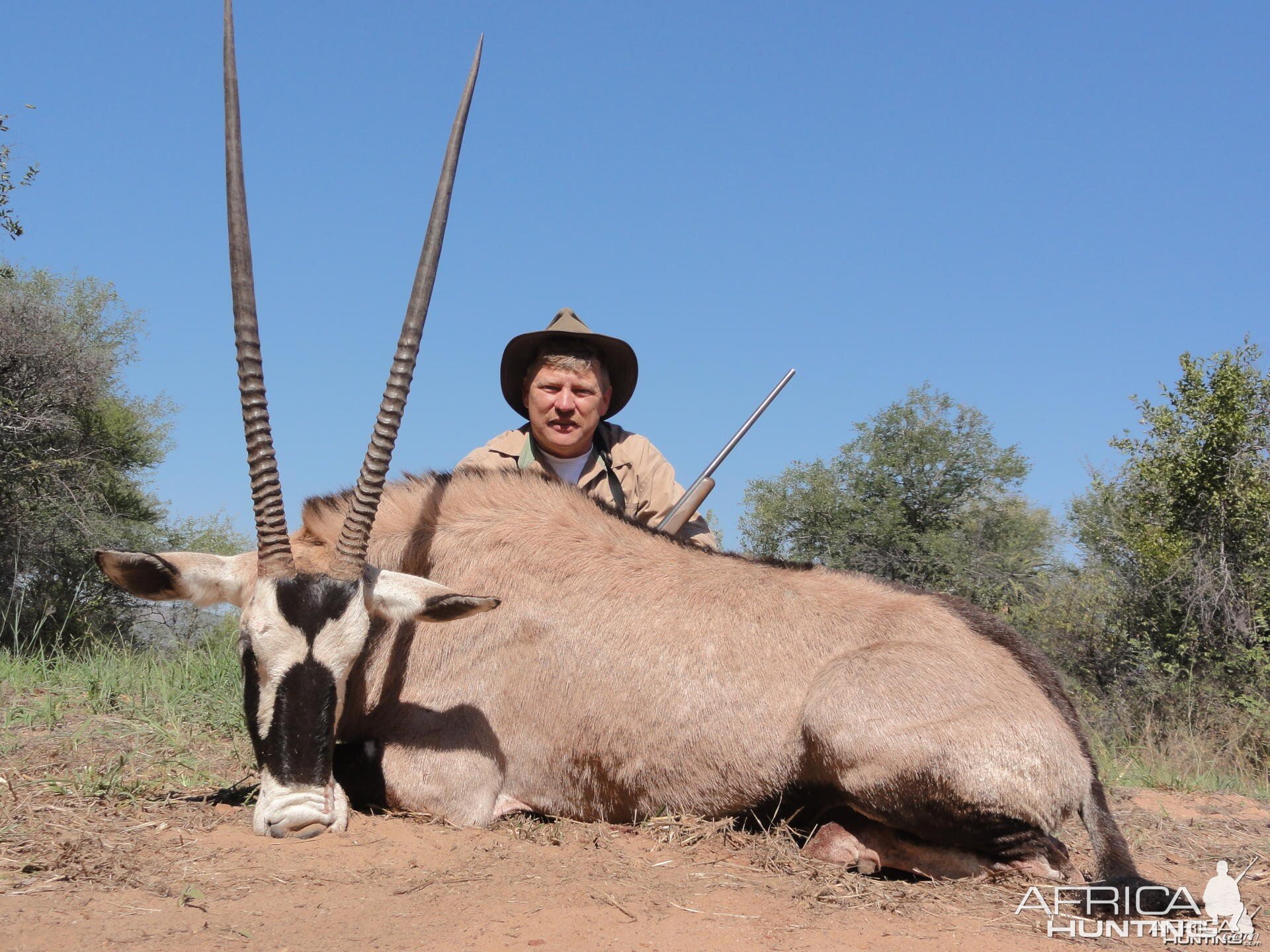 Gemsbok South Africa