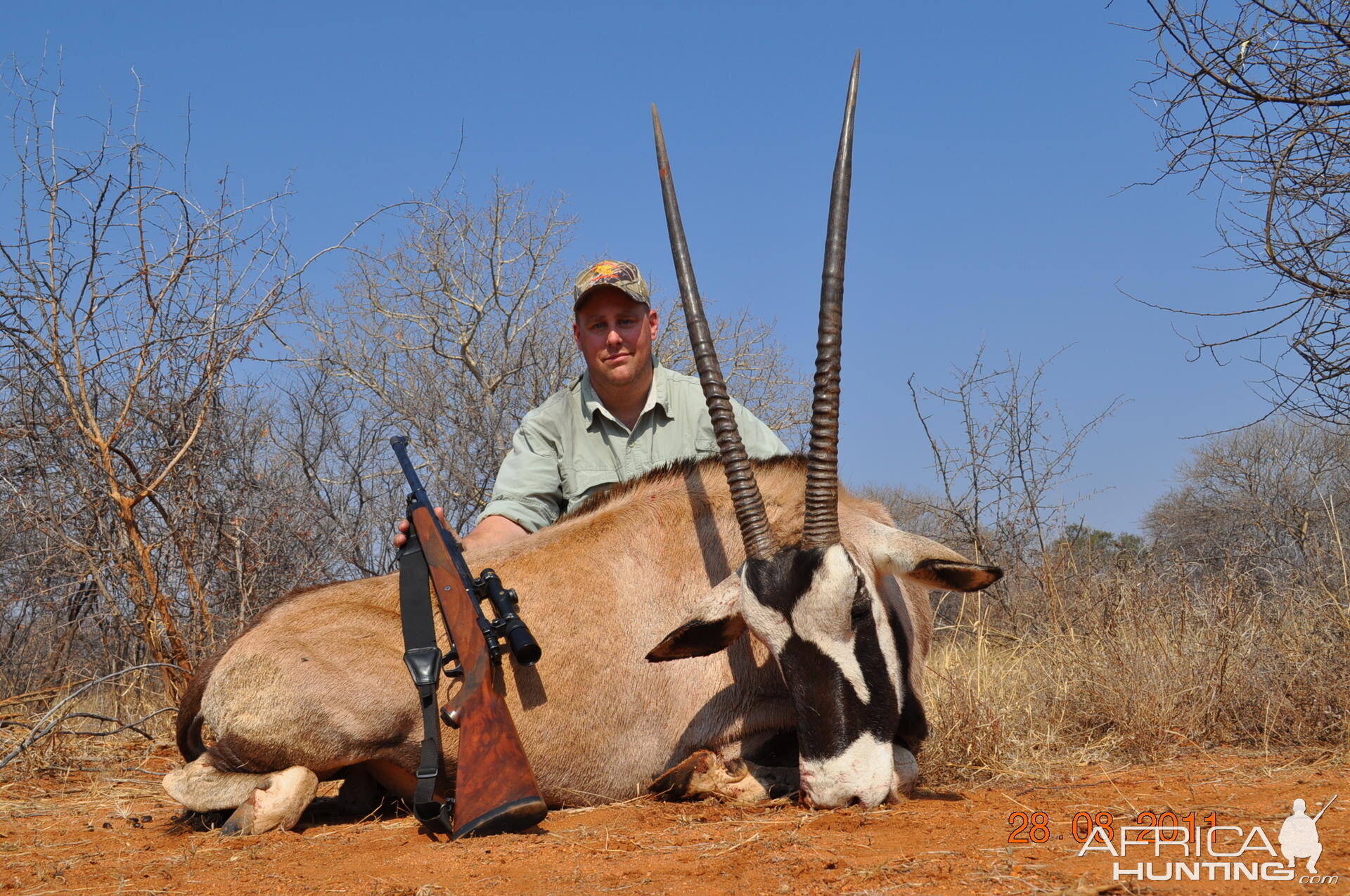 Gemsbok South Africa