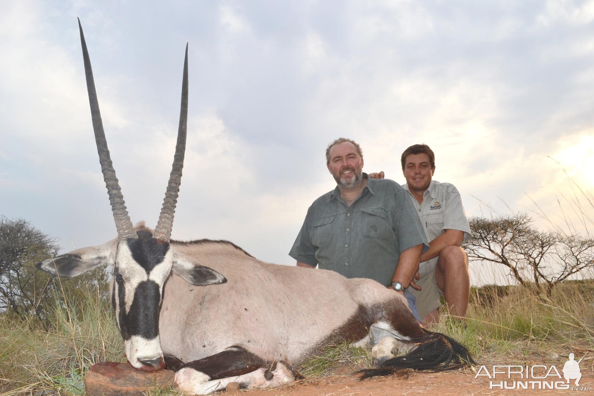 Gemsbok South Africa