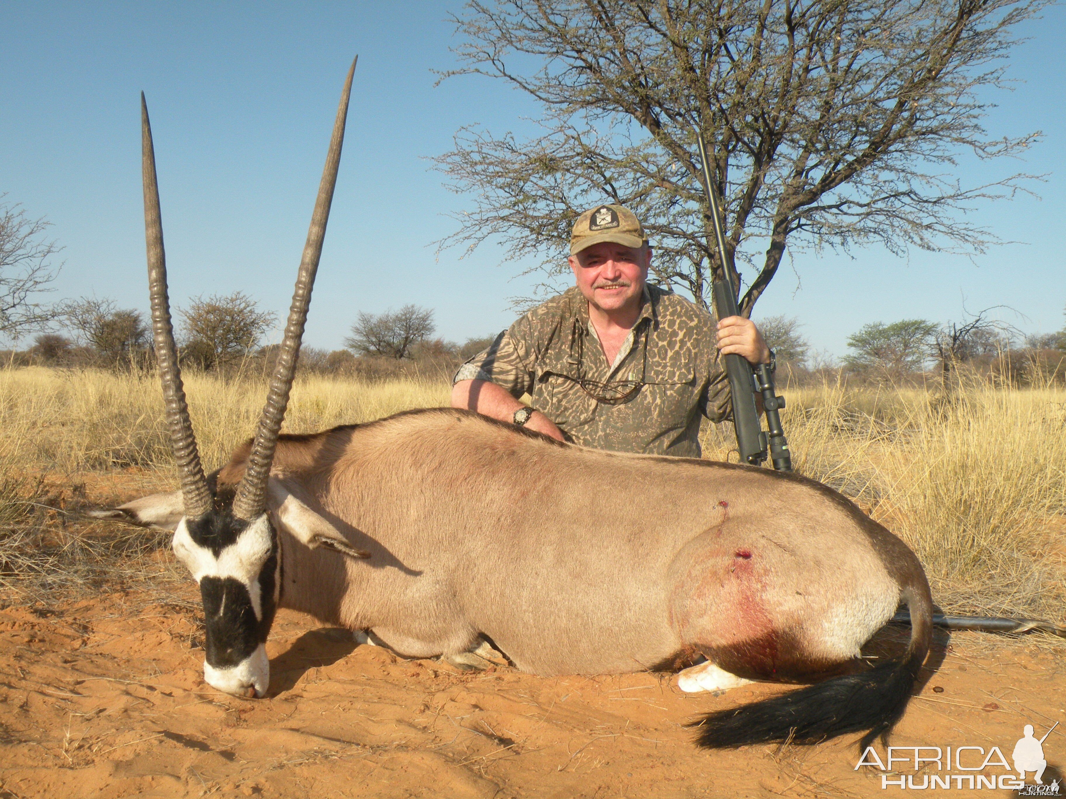 Gemsbok South Africa