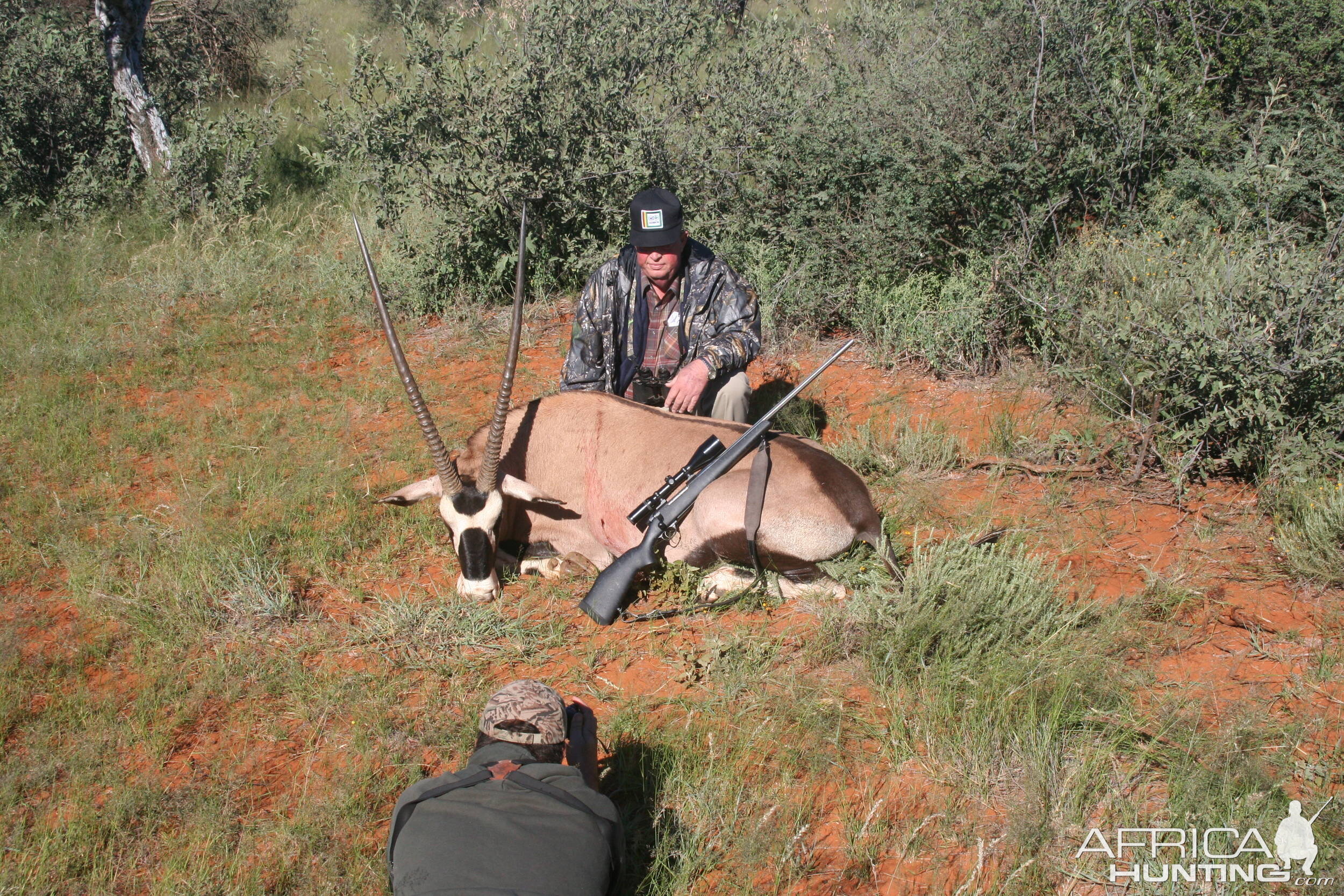 Gemsbok - South Africa