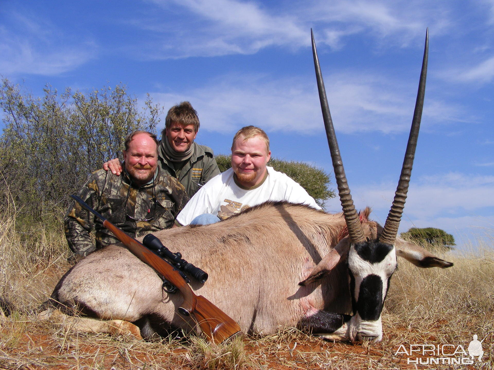 Gemsbok South Africa