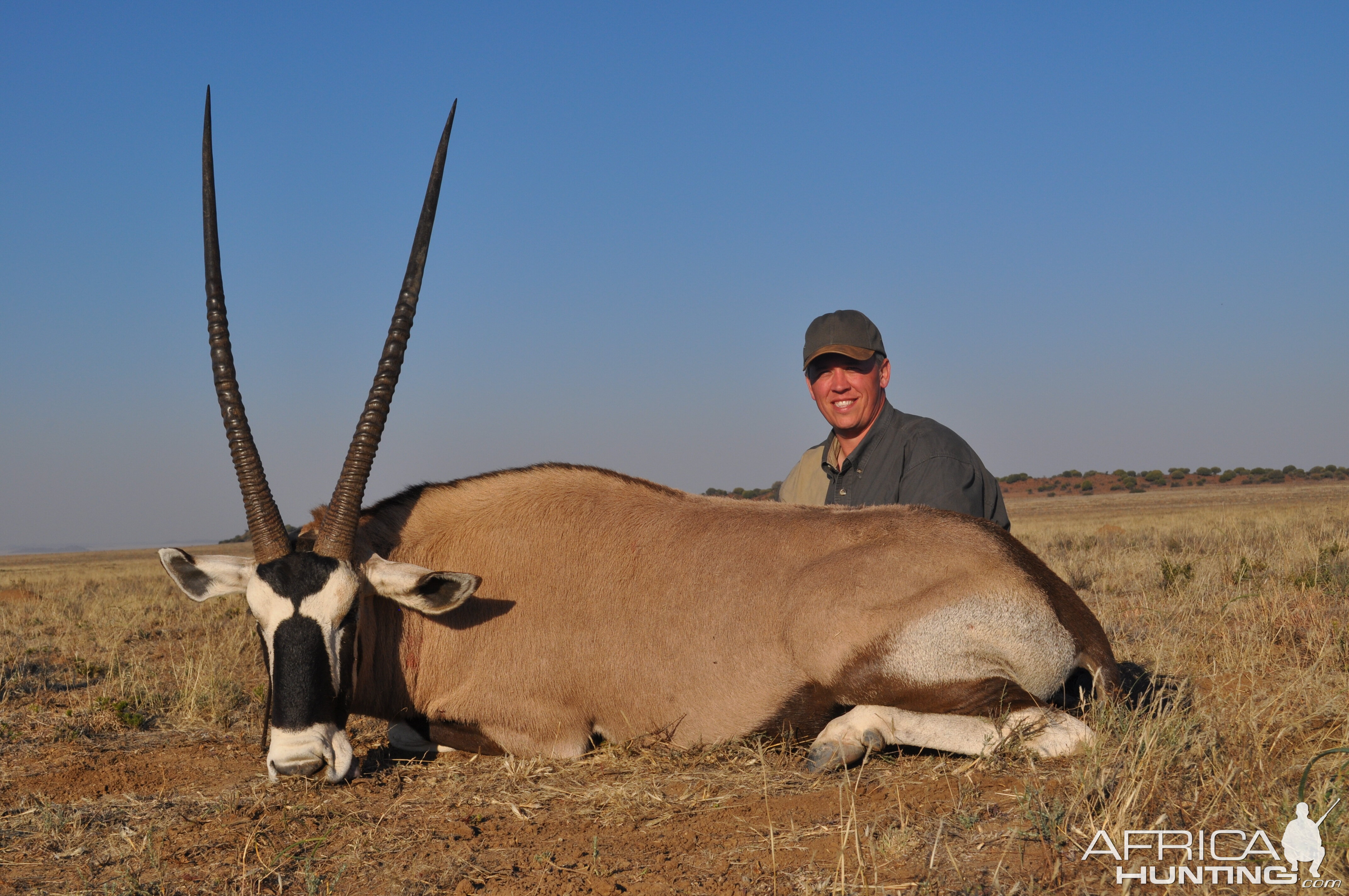 Gemsbok with White Lion Safaris