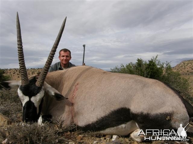 Gemsbok