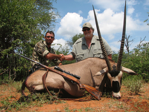 Gemsbok