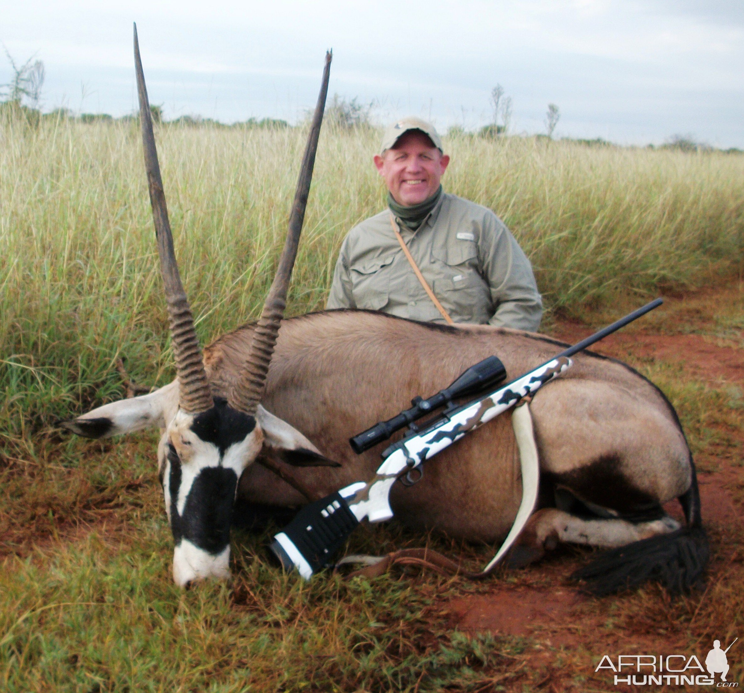 Gemsbok