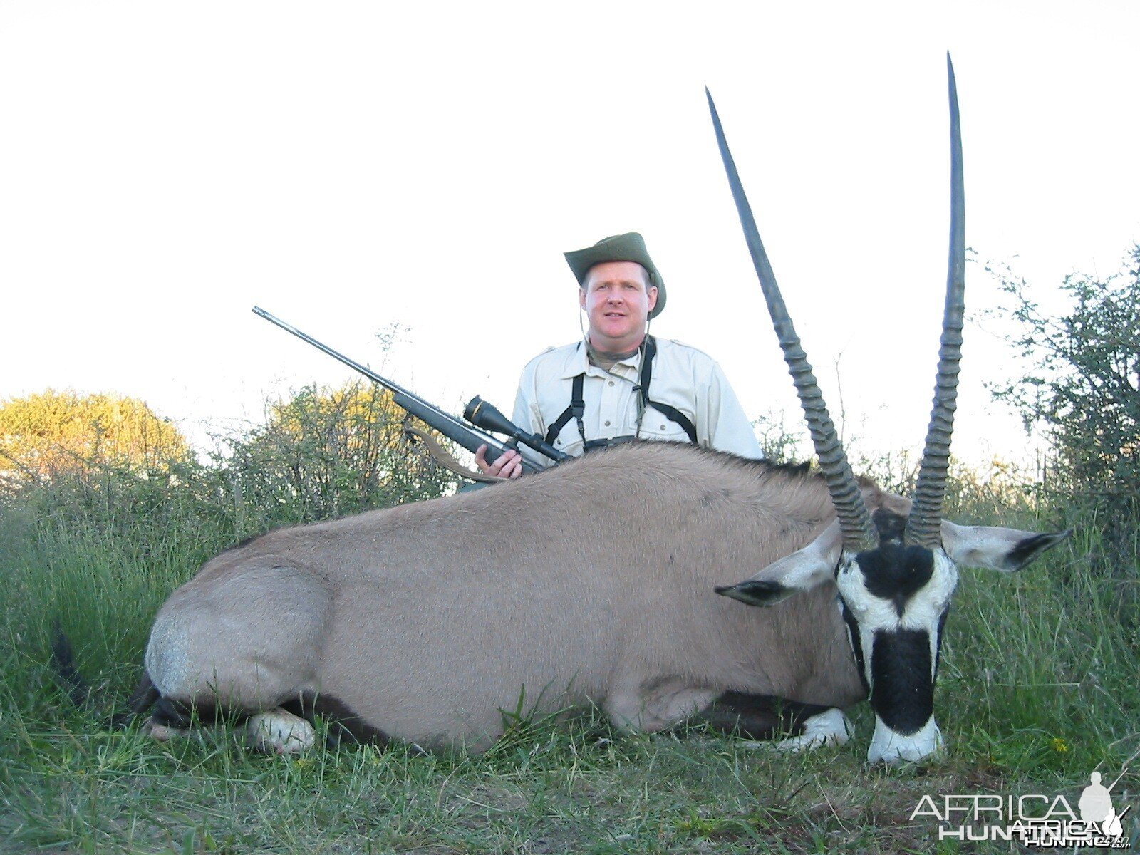 Gemsbok