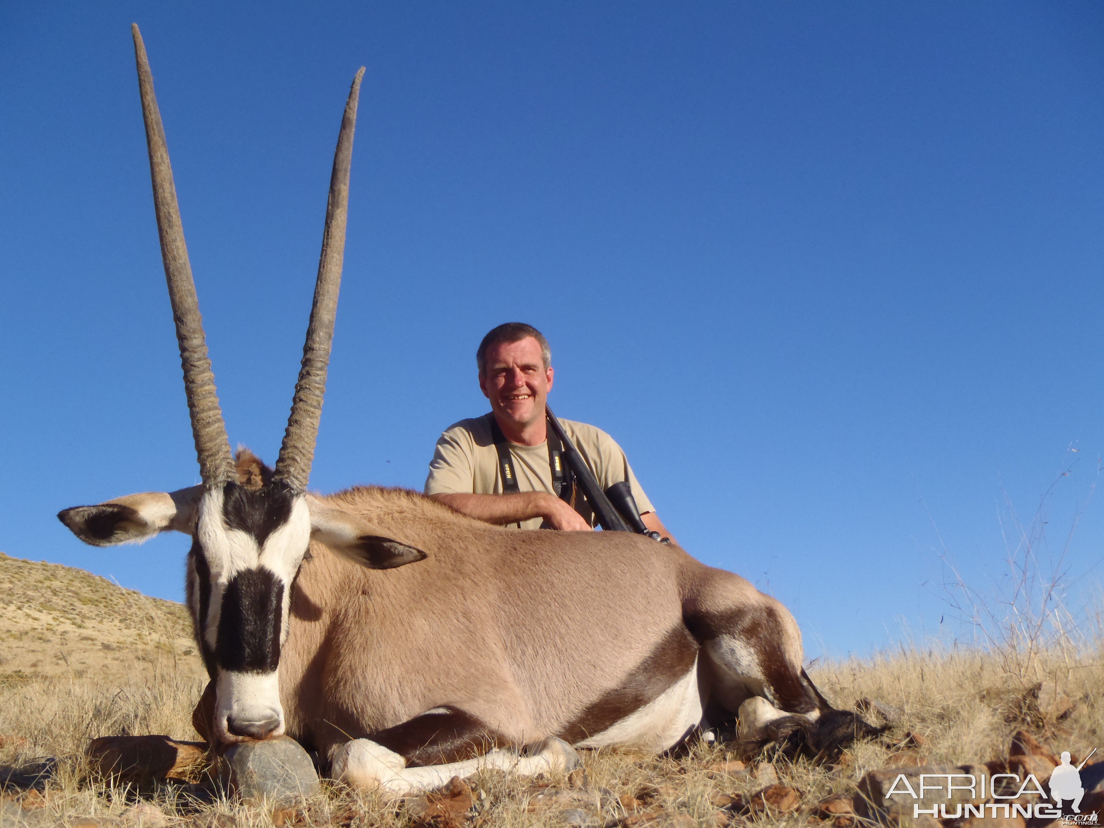 Gemsbok