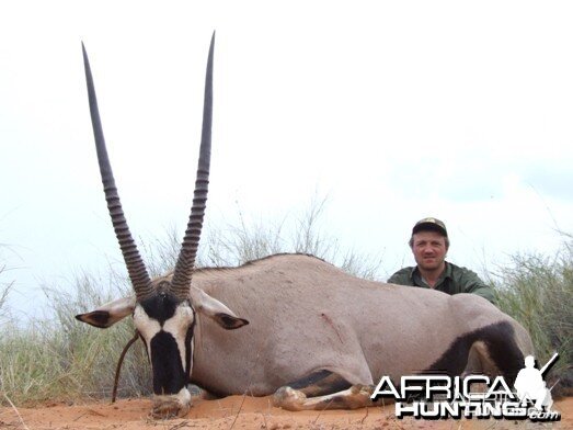 Gemsbok