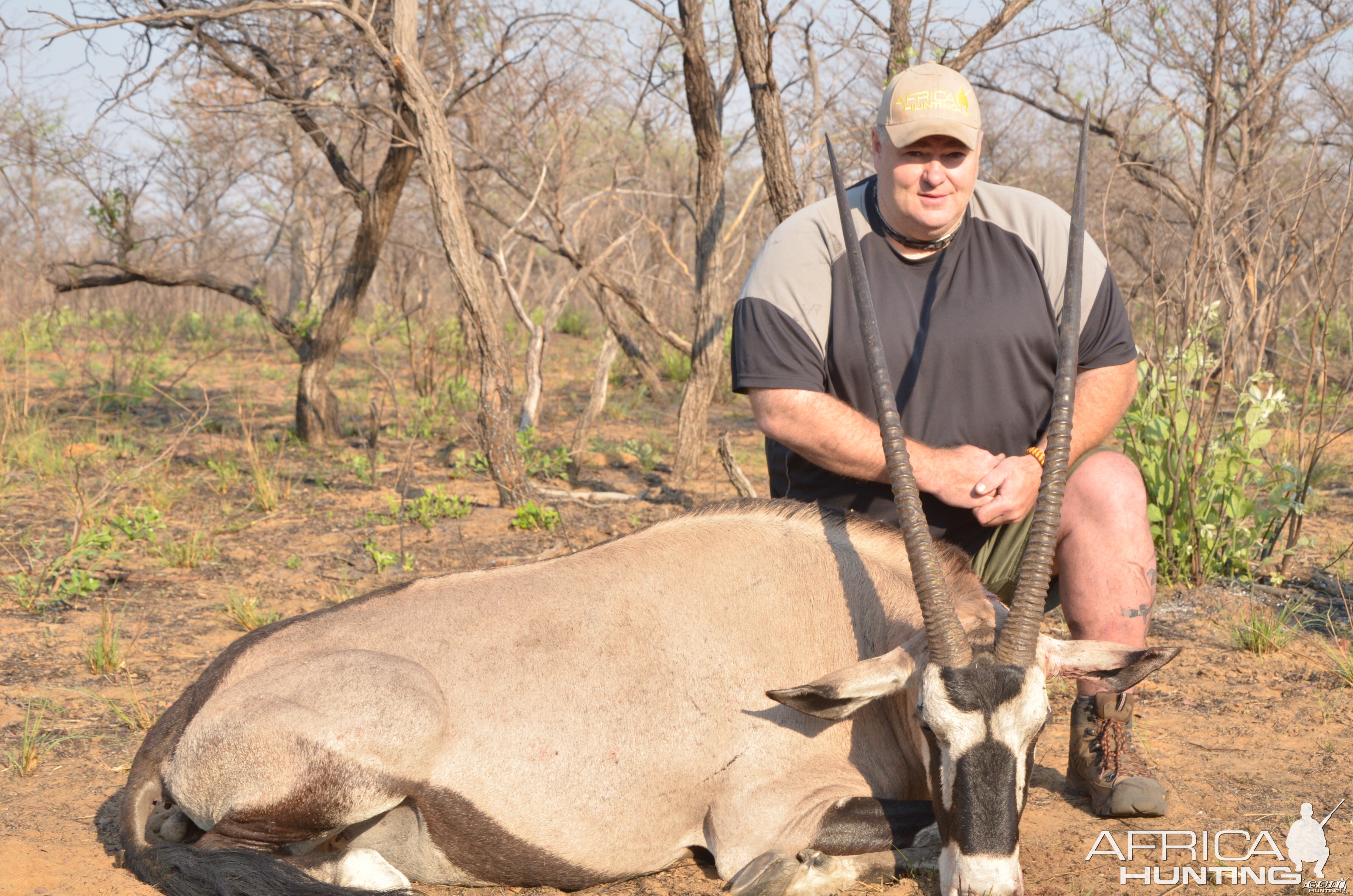 Gemsbok